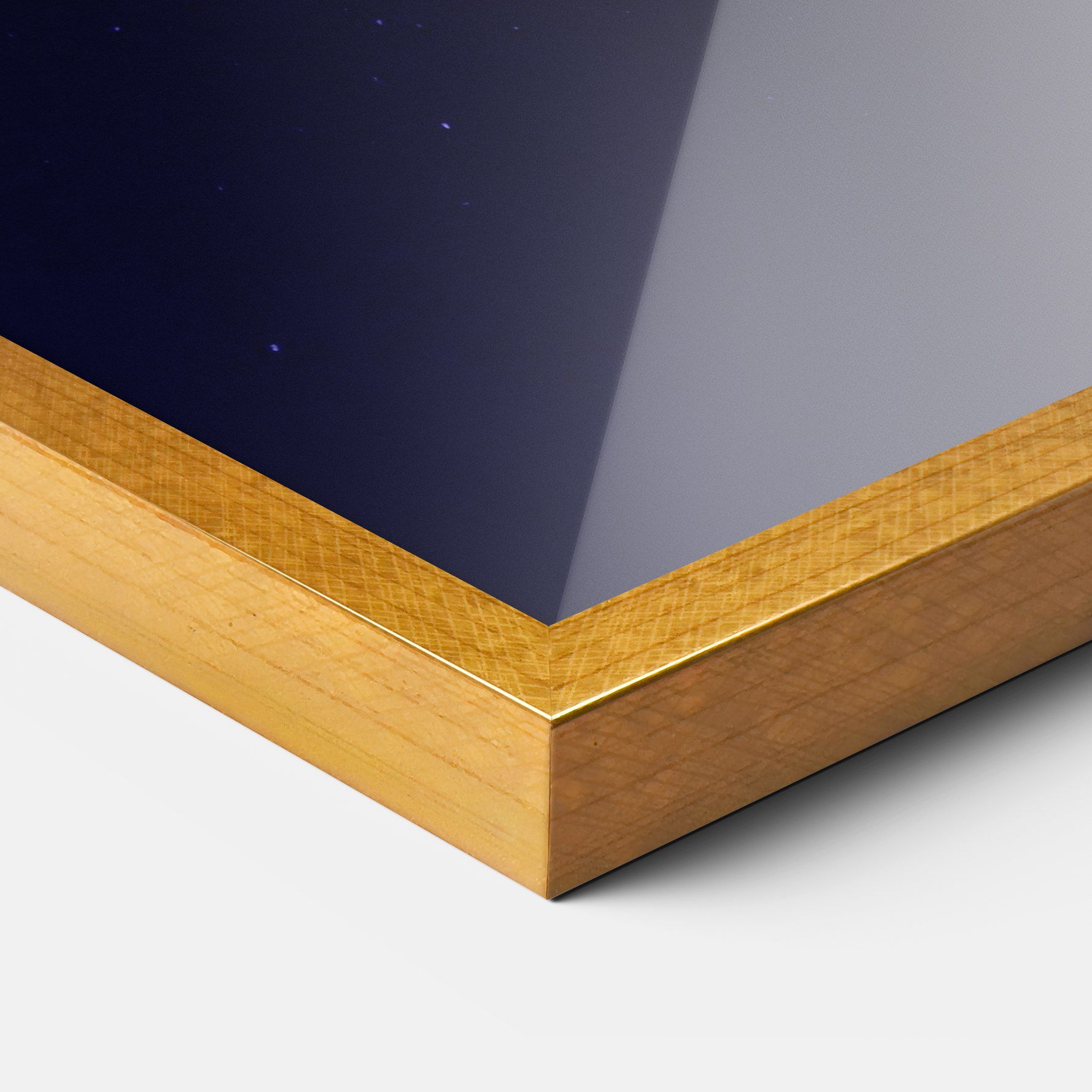 Purple Jellyfish mockup 3