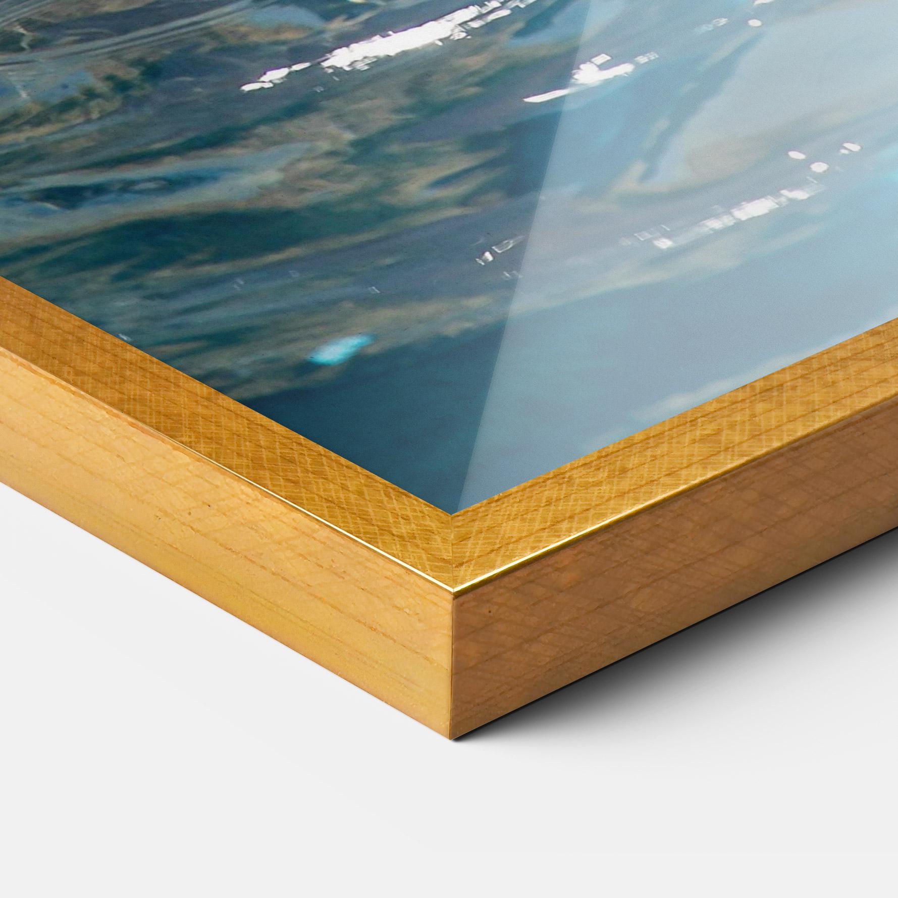 Keretezett Poszter Trained Dolphin mockup 3