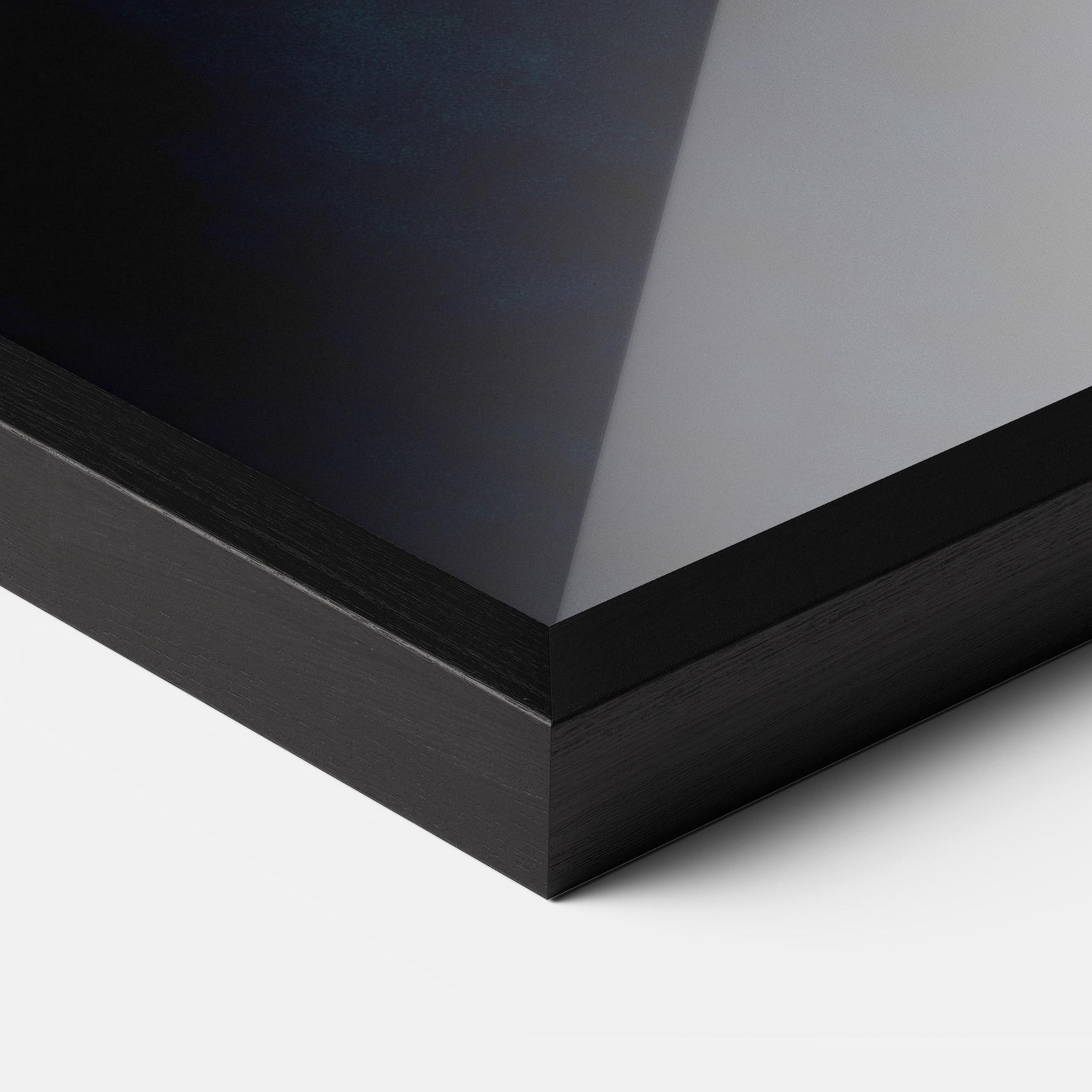 Keretezett Poszter Silver Fish mockup 3