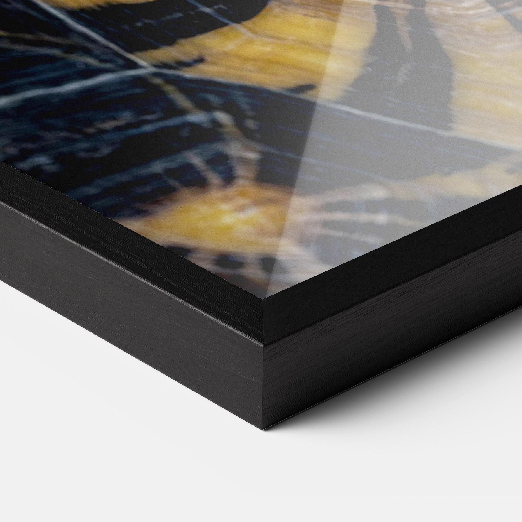 Keretezett Poszter Turtle Shell mockup 3