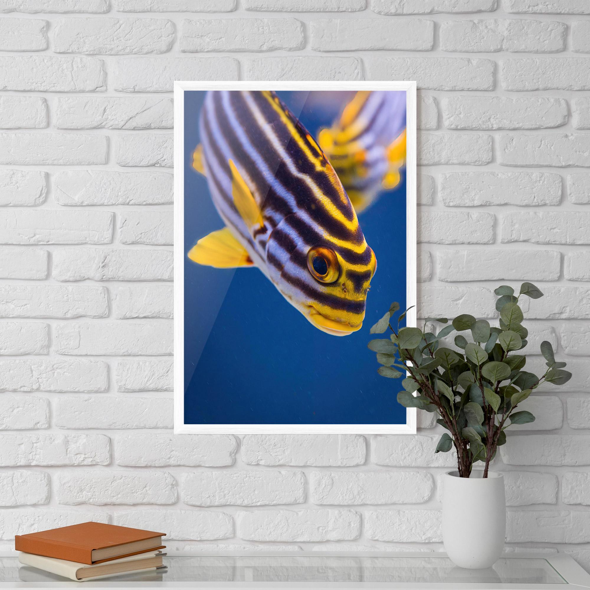 Keretezett Poszter Purple Yellow Fish mockup 5