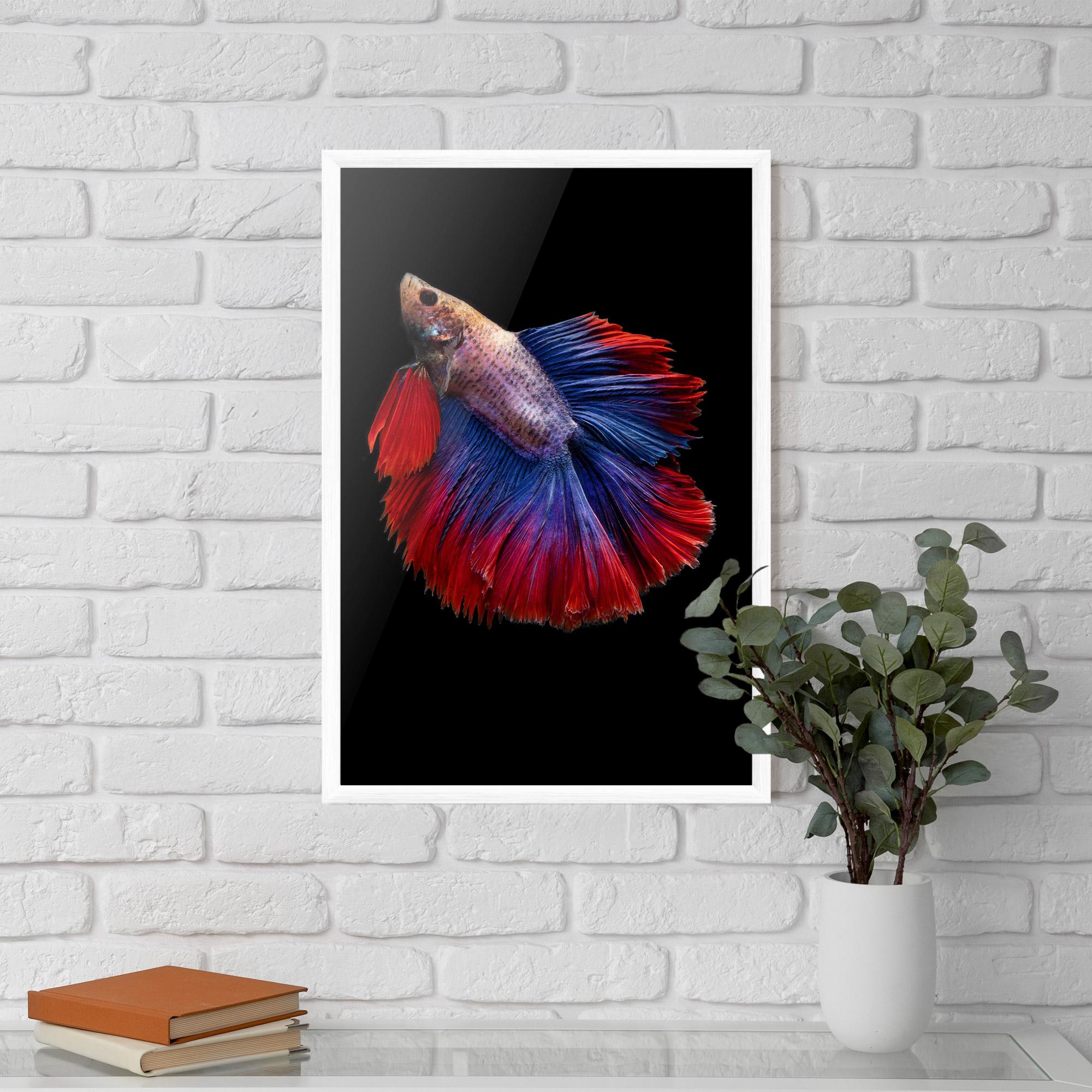 Keretezett Poszter Red Blue Betta mockup 5