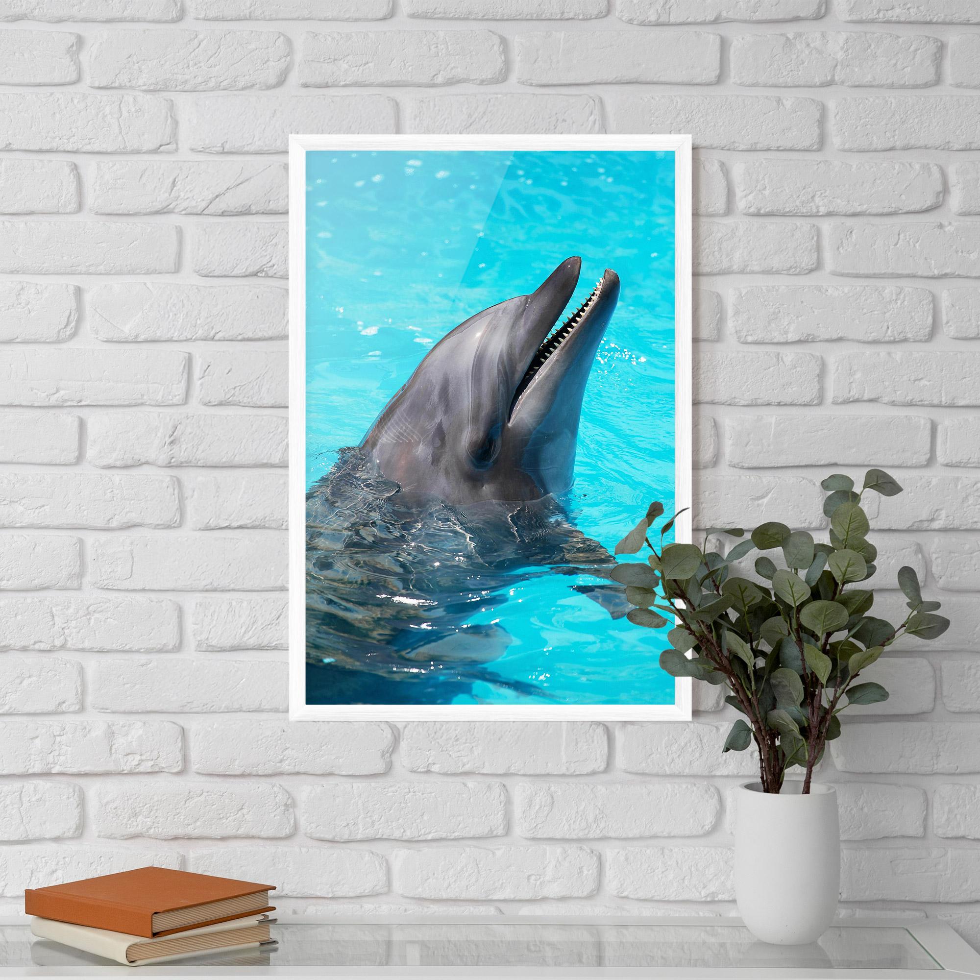 Keretezett Poszter Trained Dolphin mockup 5
