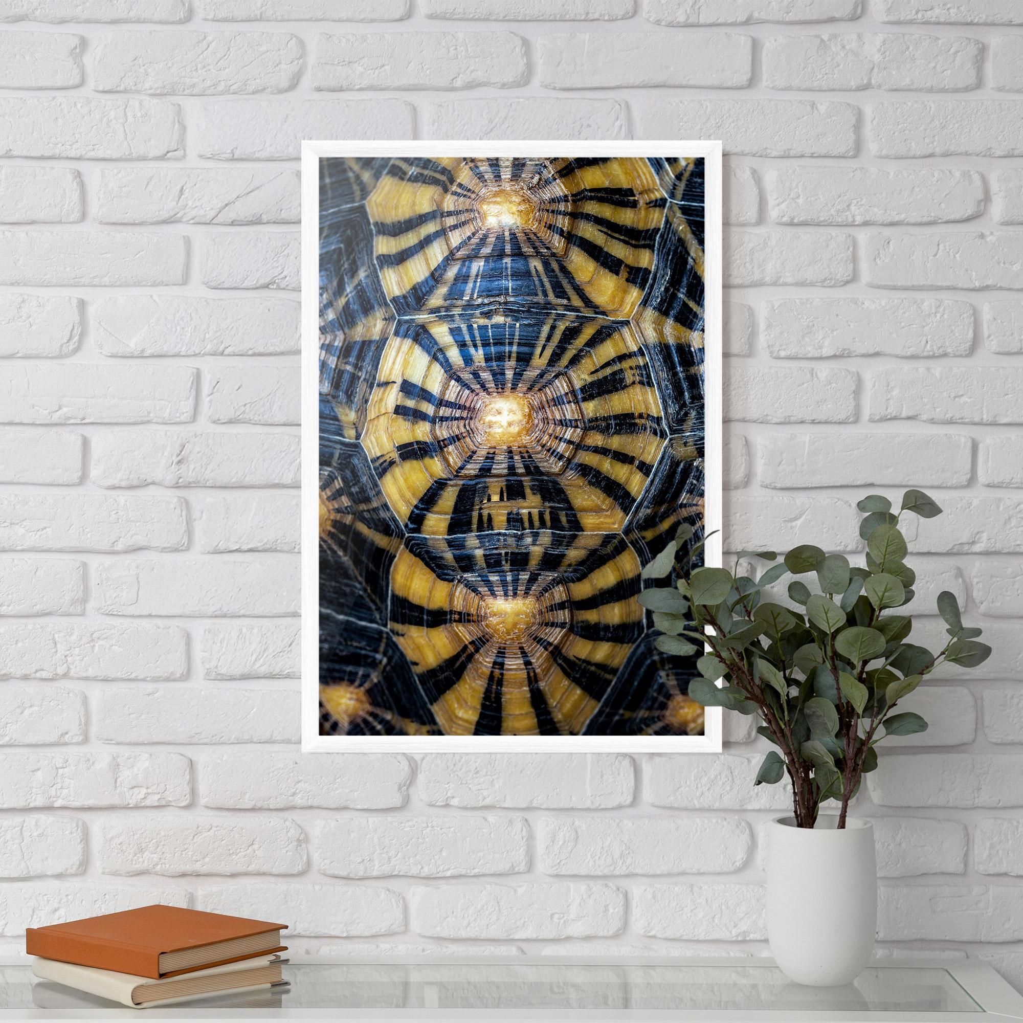 Keretezett Poszter Turtle Shell mockup 5