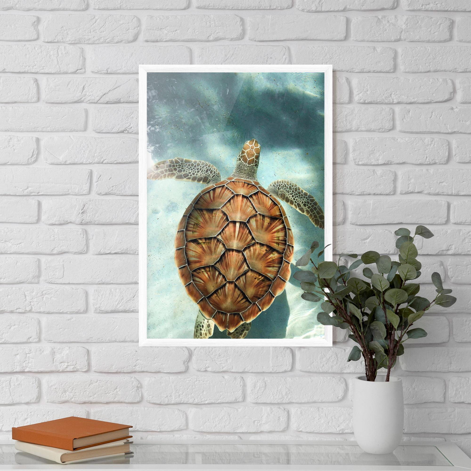 Keretezett Poszter Water Tortoise mockup 5