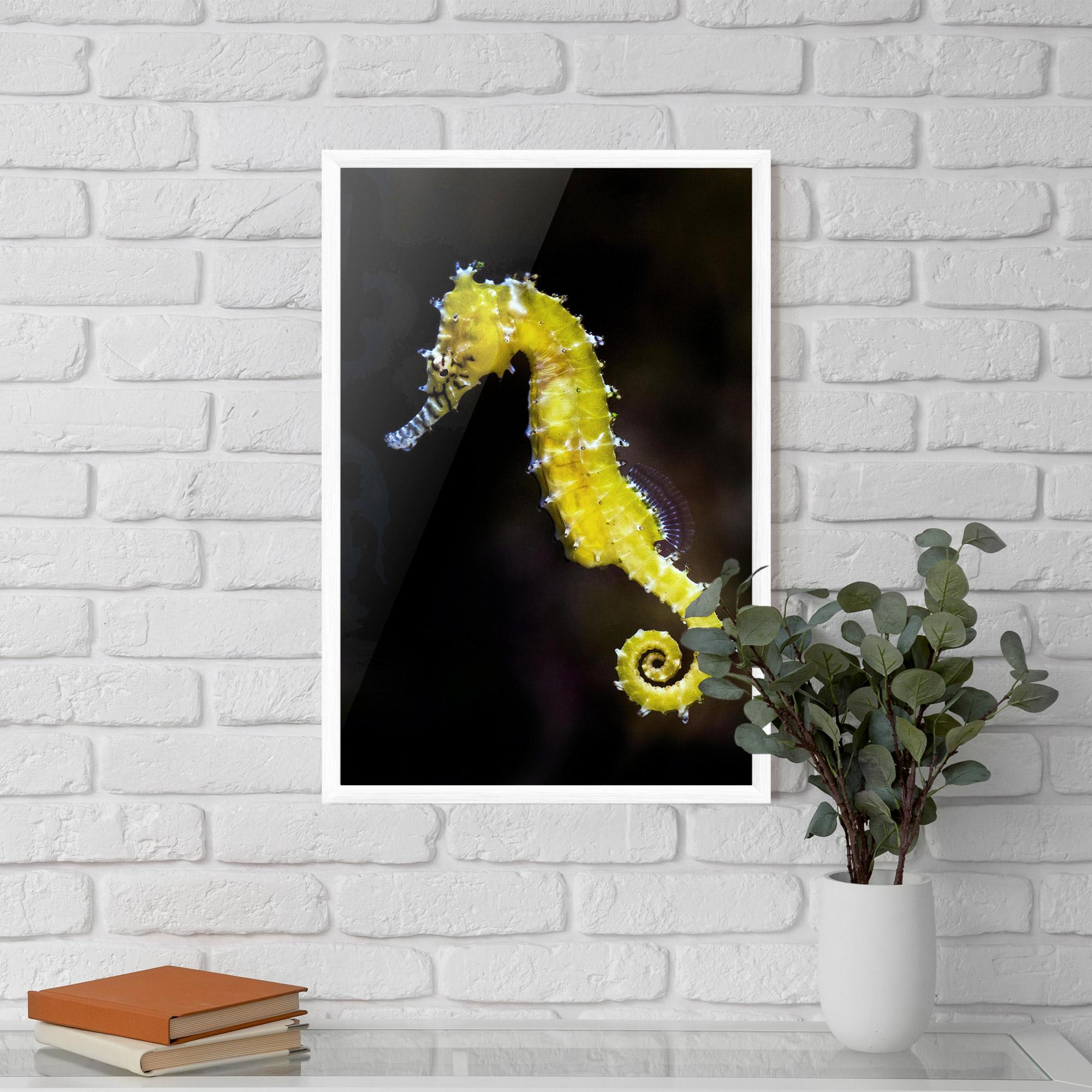 Keretezett Poszter Yellow Seahorse mockup 5