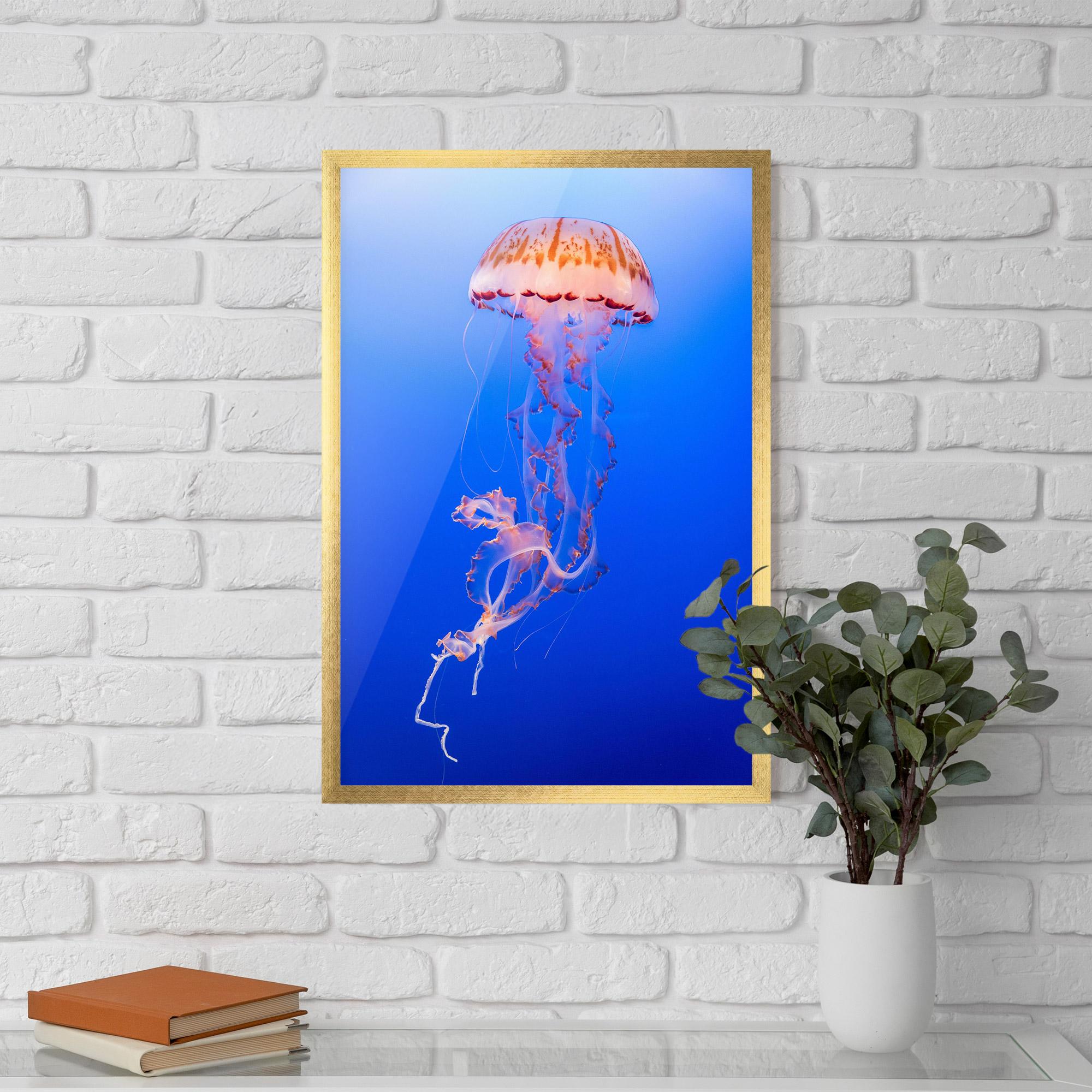 Keretezett Poszter Pretty White Jellyfish mockup 5