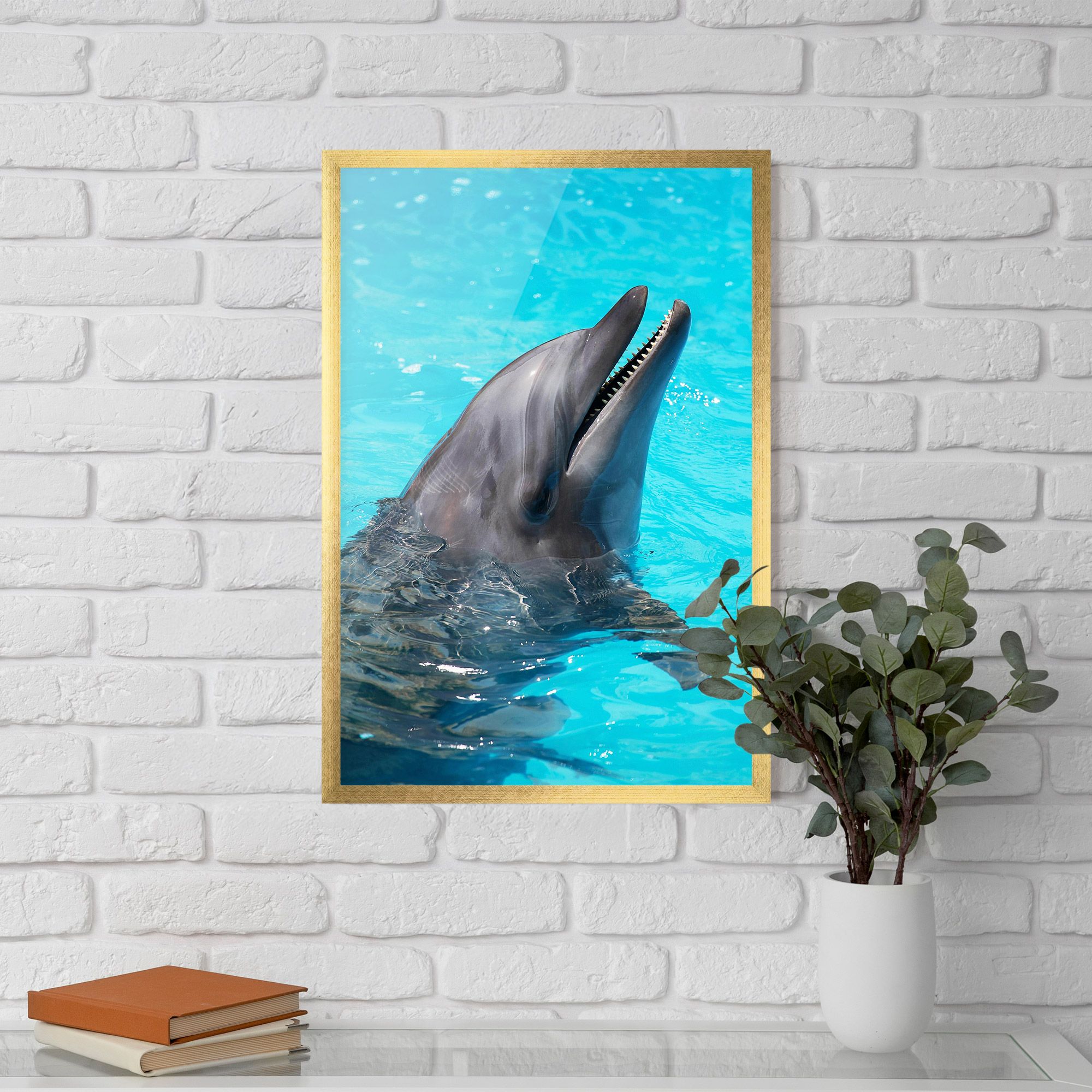 Trained Dolphin mockup 5