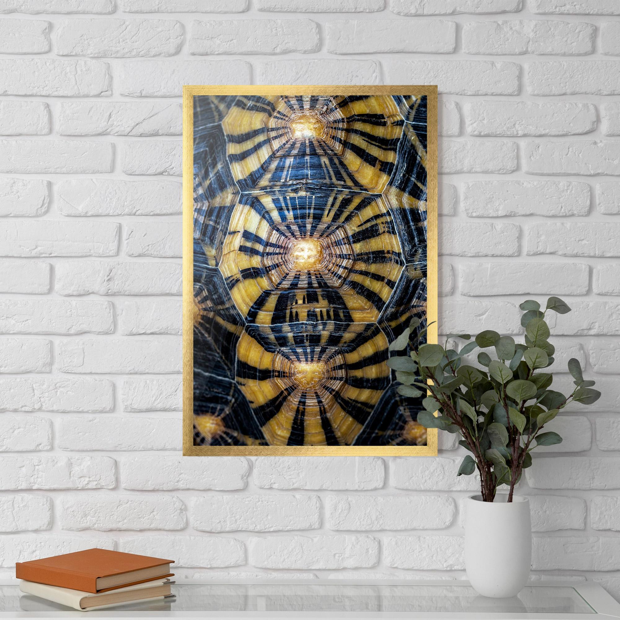 Keretezett Poszter Turtle Shell mockup 5
