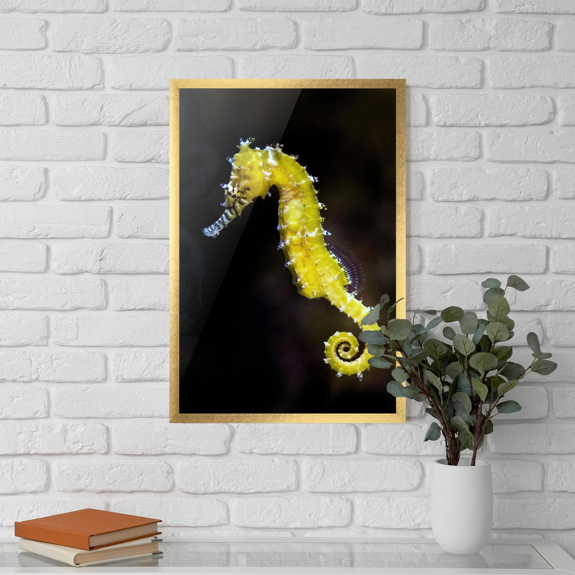 Keretezett Poszter Yellow Seahorse mockup 5