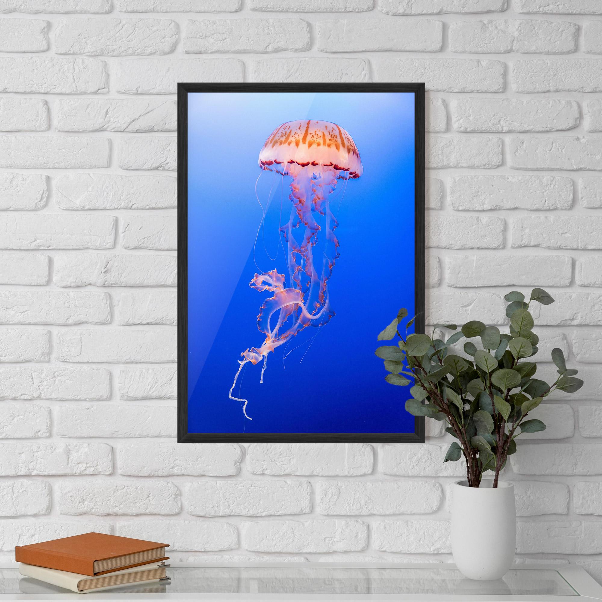 Keretezett Poszter Pretty White Jellyfish mockup 5