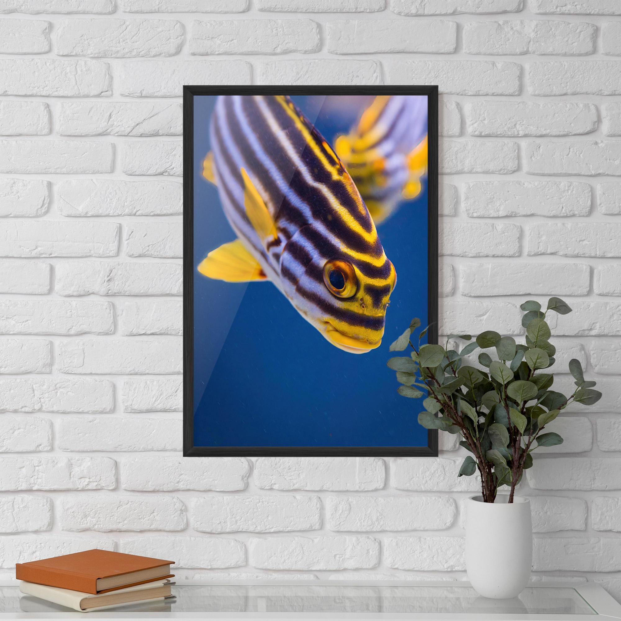 Keretezett Poszter Purple Yellow Fish mockup 5