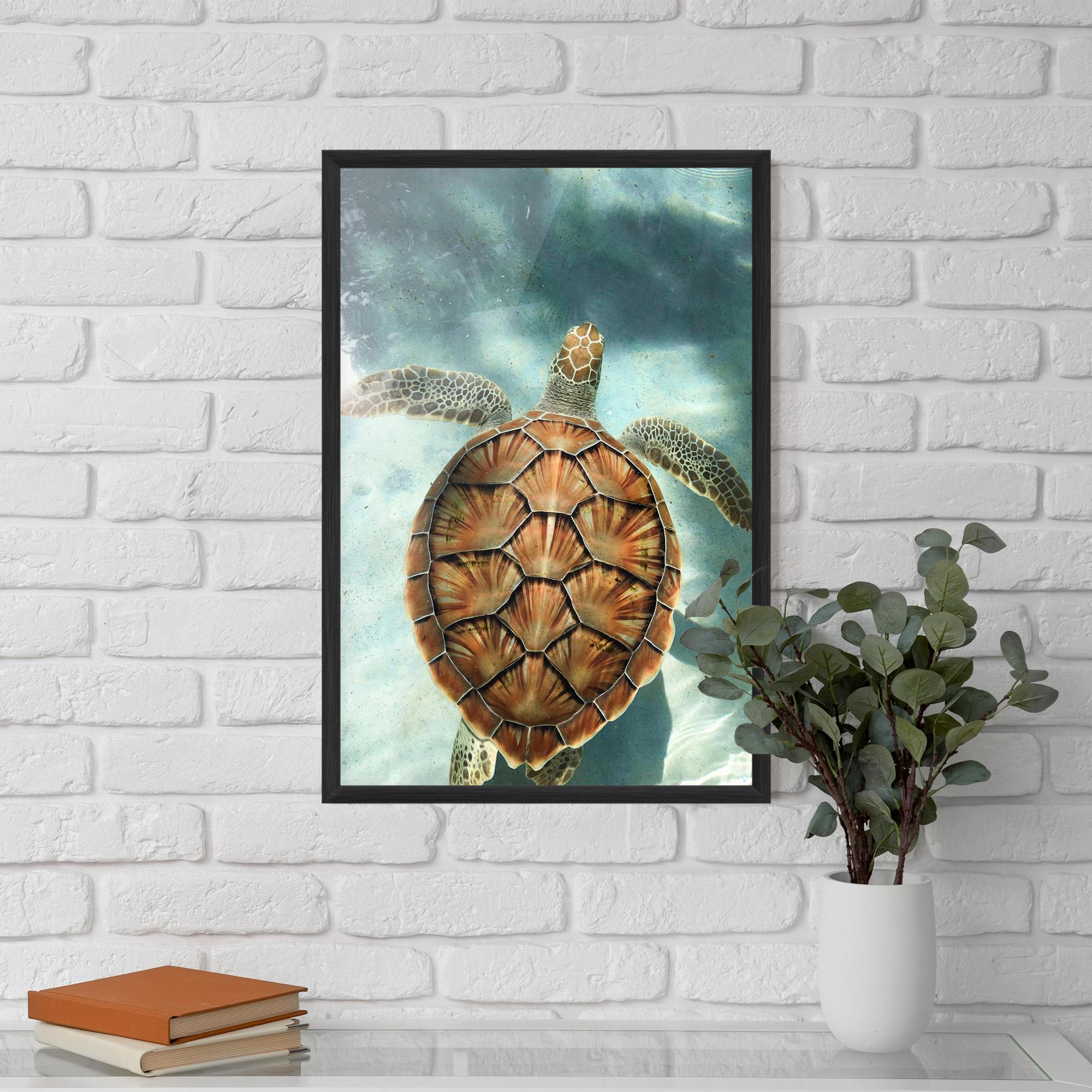 Keretezett Poszter Water Tortoise mockup 5