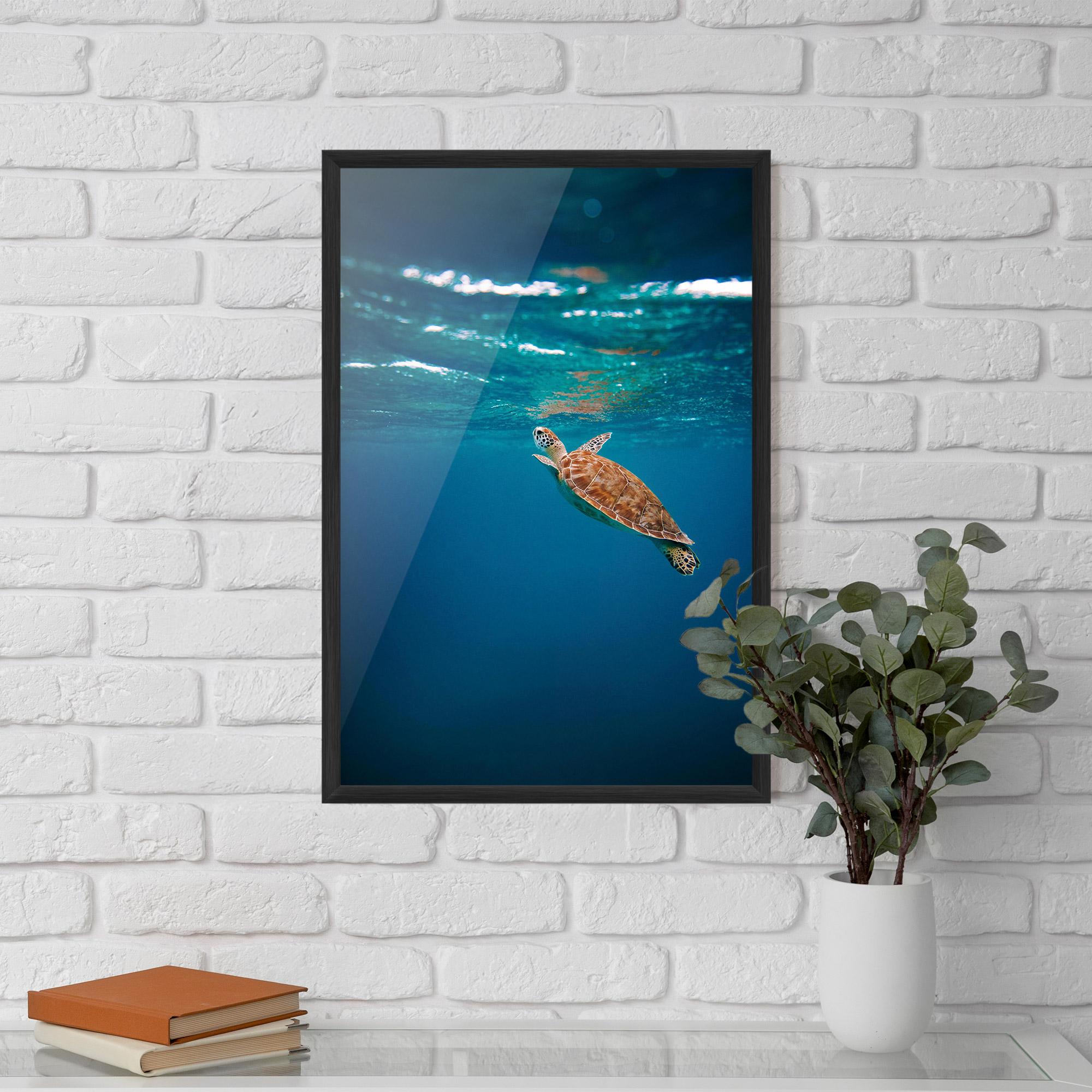 Keretezett Poszter Water Turtle mockup 5
