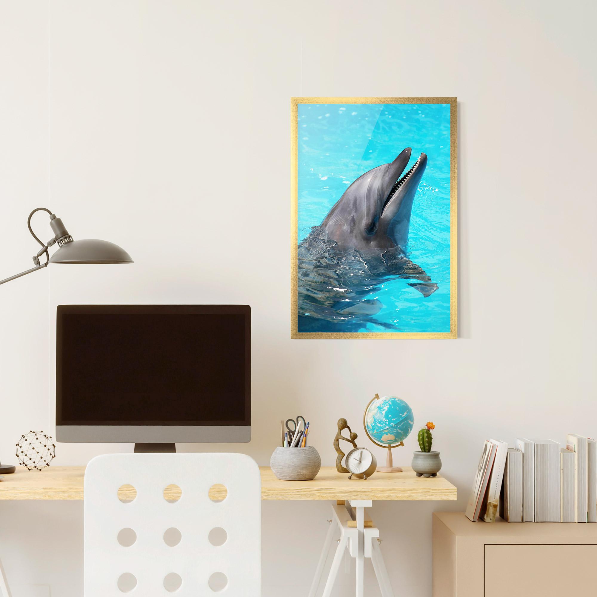 Keretezett Poszter Trained Dolphin mockup 6