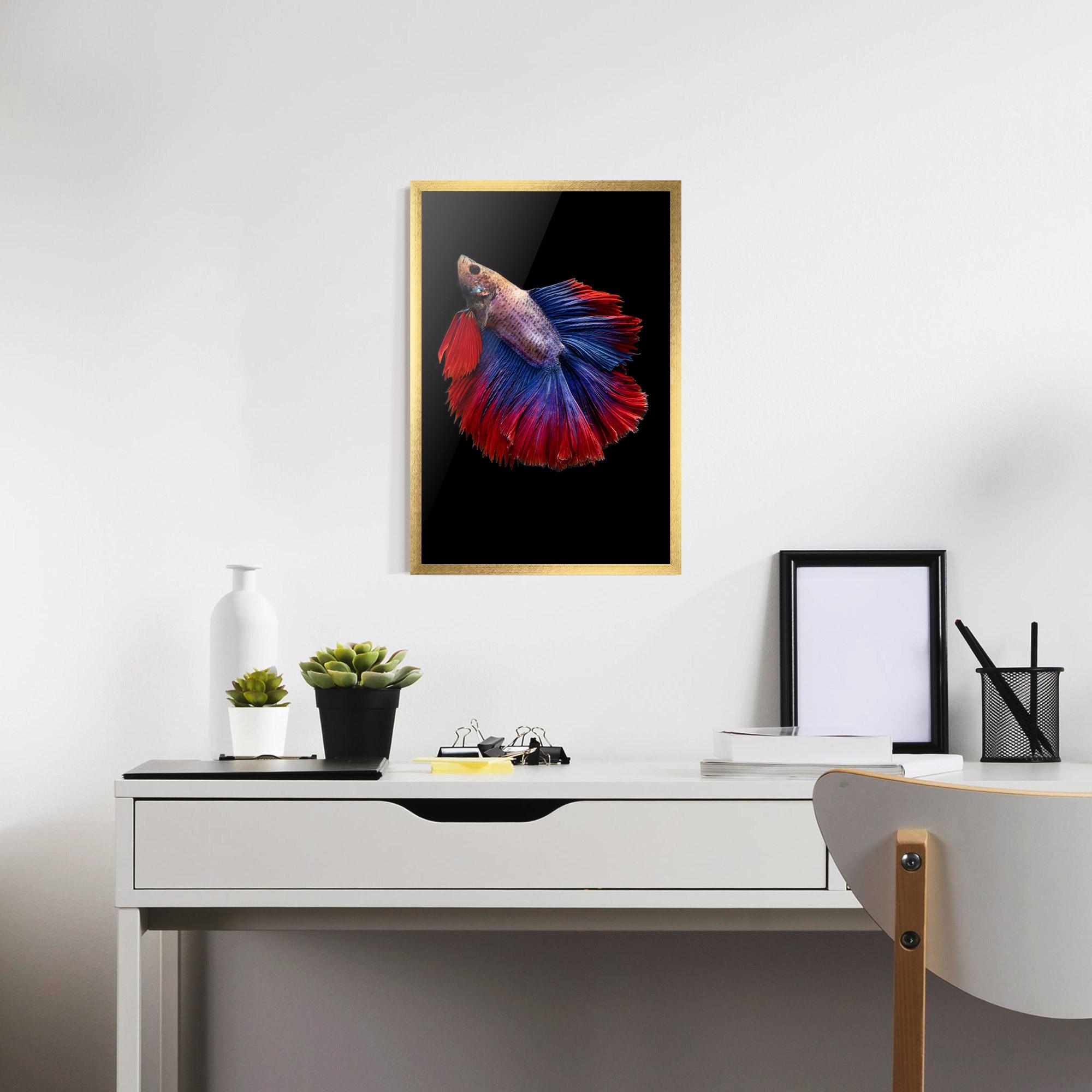 Keretezett Poszter Red Blue Betta mockup 7