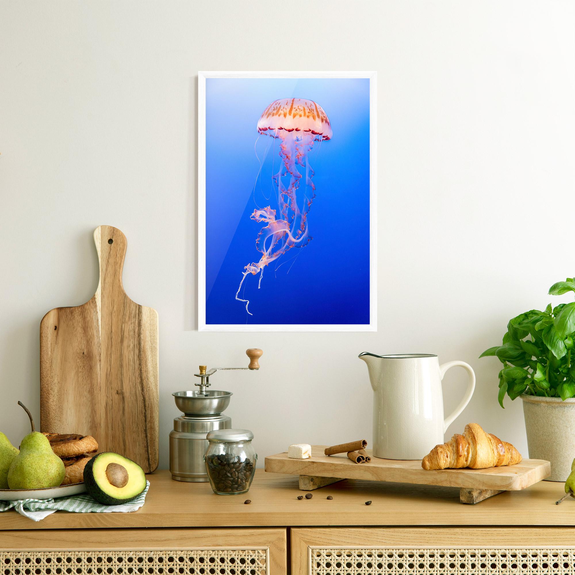 Keretezett Poszter Pretty White Jellyfish mockup 8