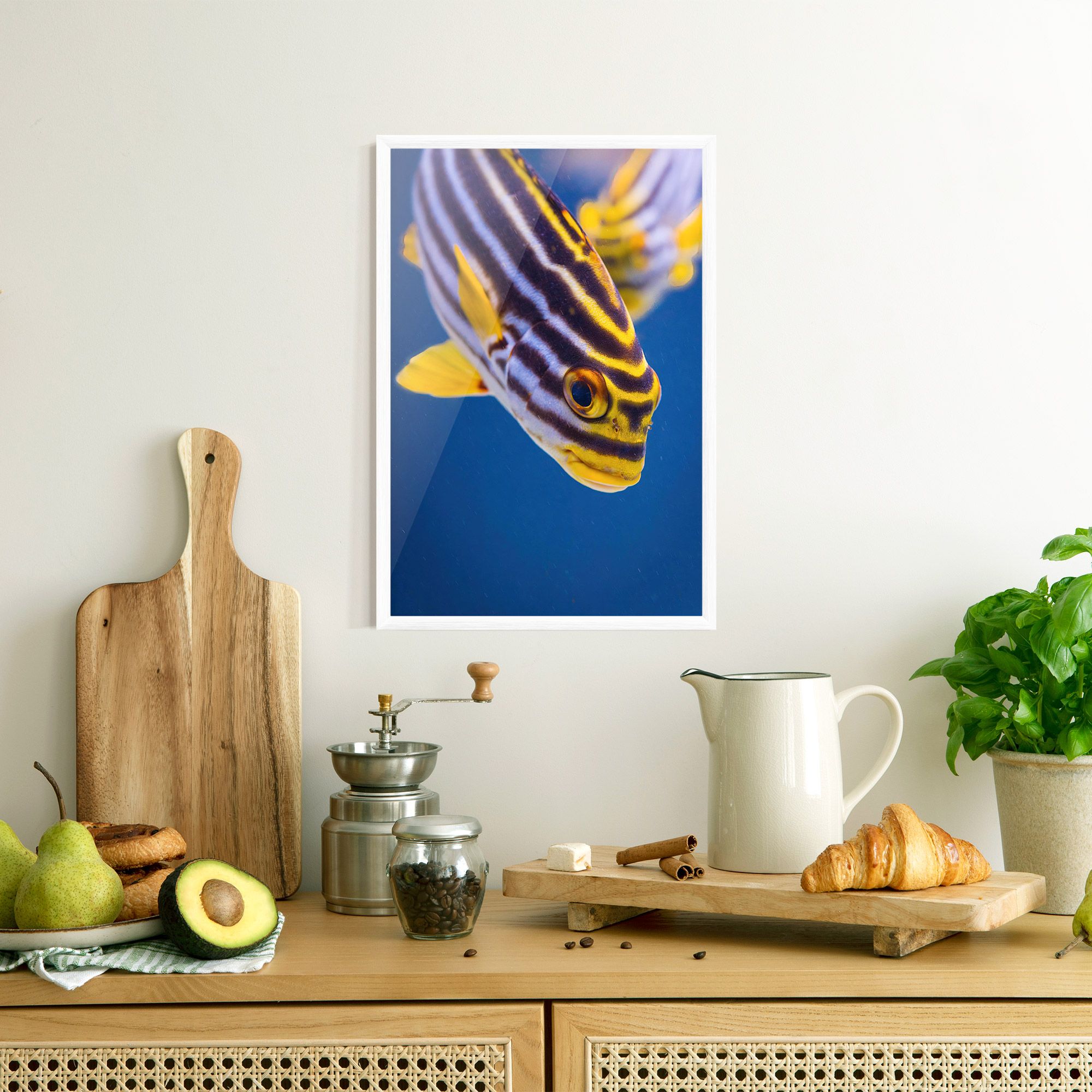 Purple Yellow Fish mockup 8