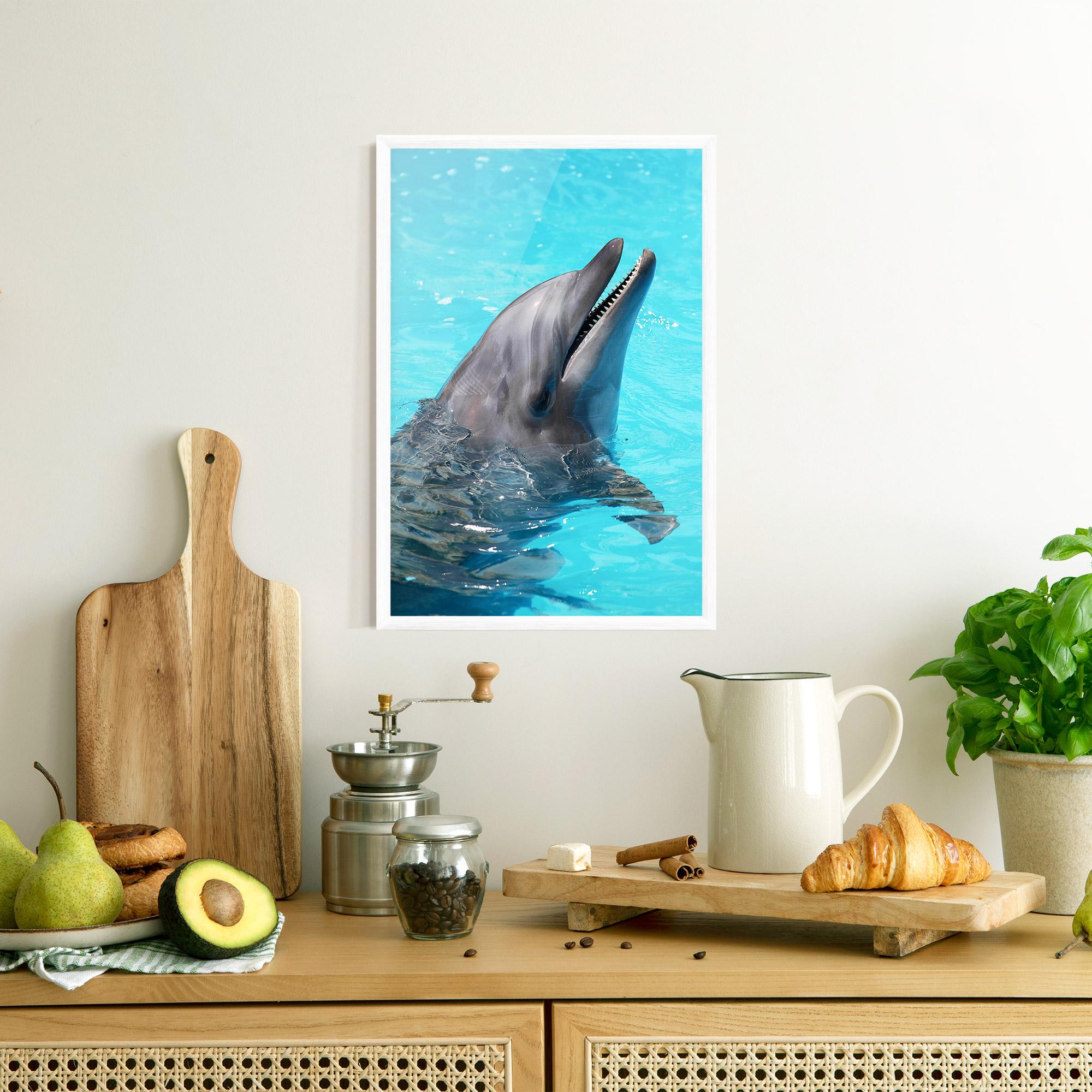 Keretezett Poszter Trained Dolphin mockup 8