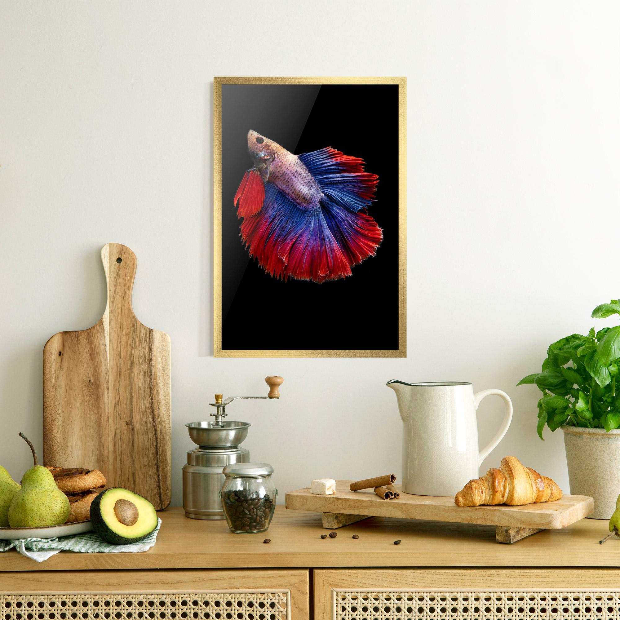 Keretezett Poszter Red Blue Betta mockup 8