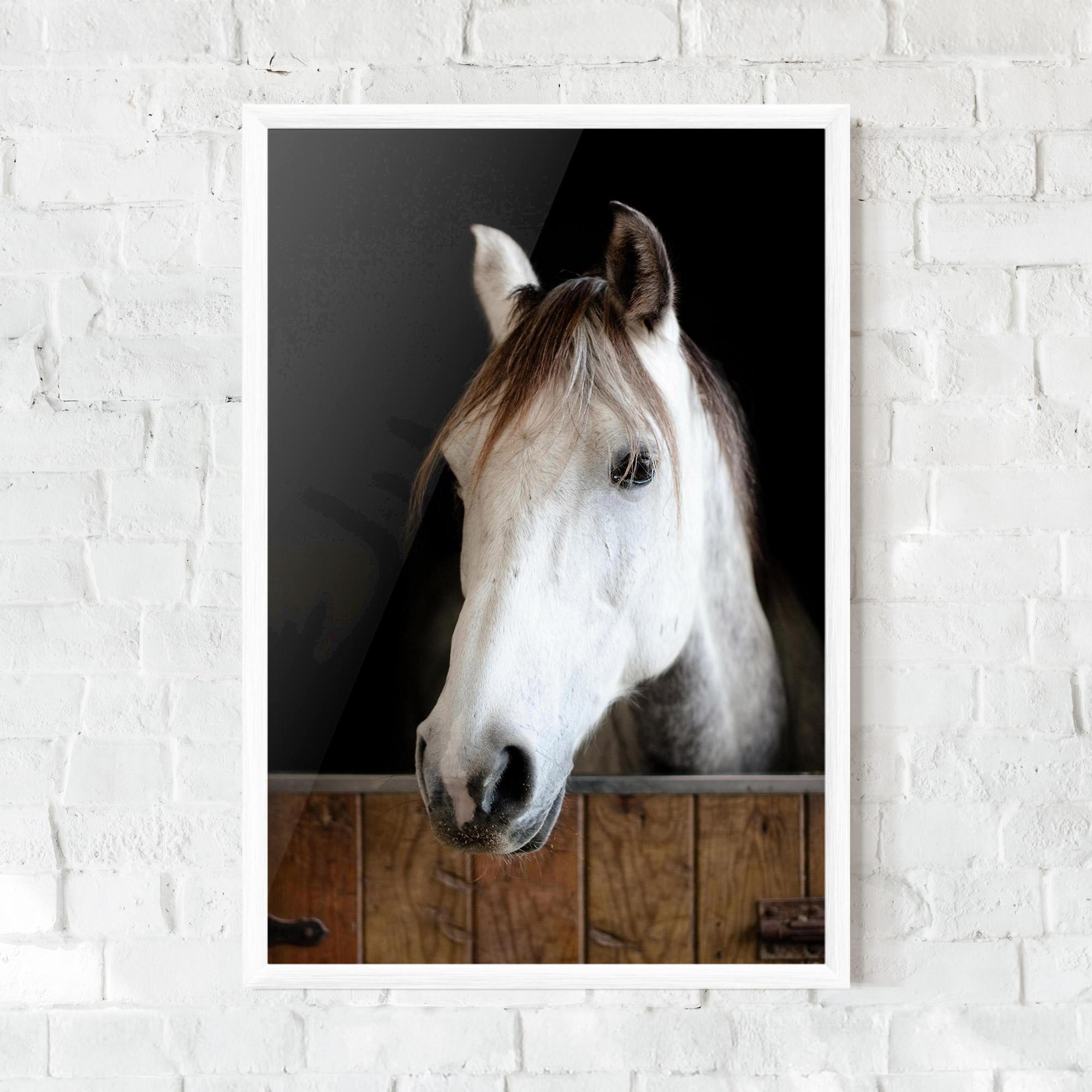 Keretezett Poszter Grey Horse Head mockup 0