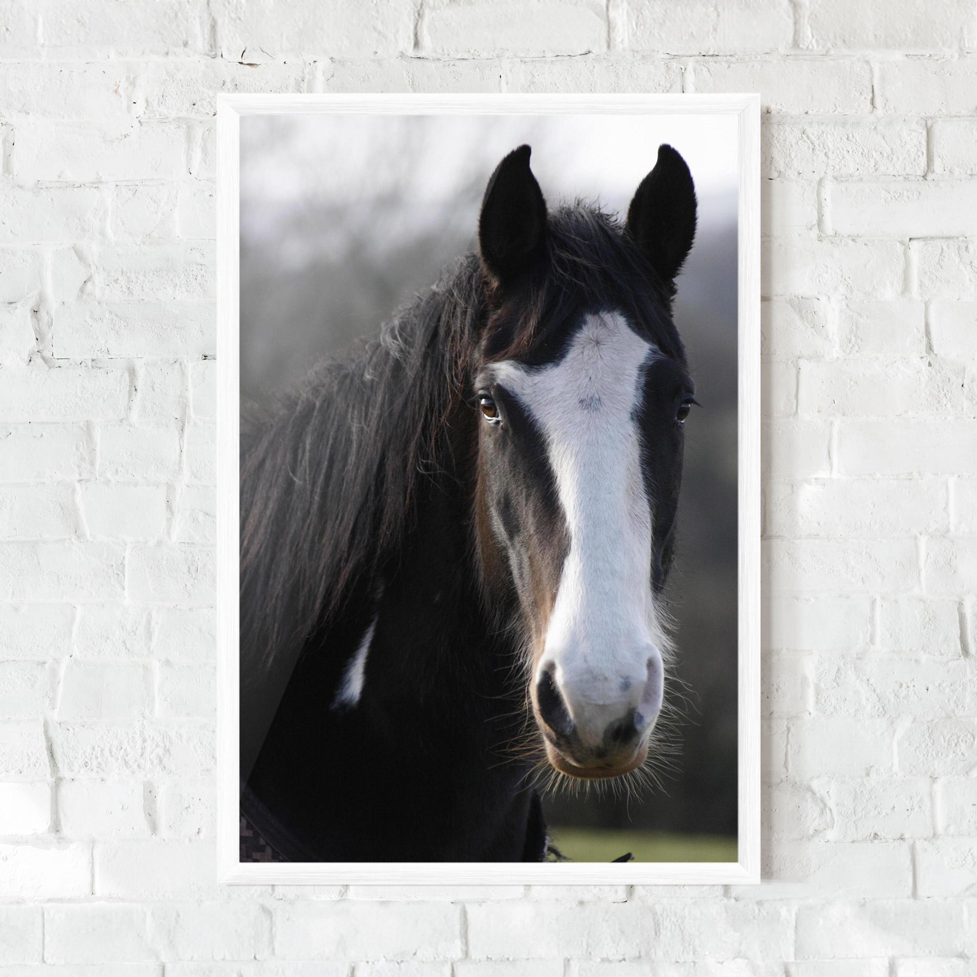 Keretezett Poszter Horse Black Portrait mockup 0
