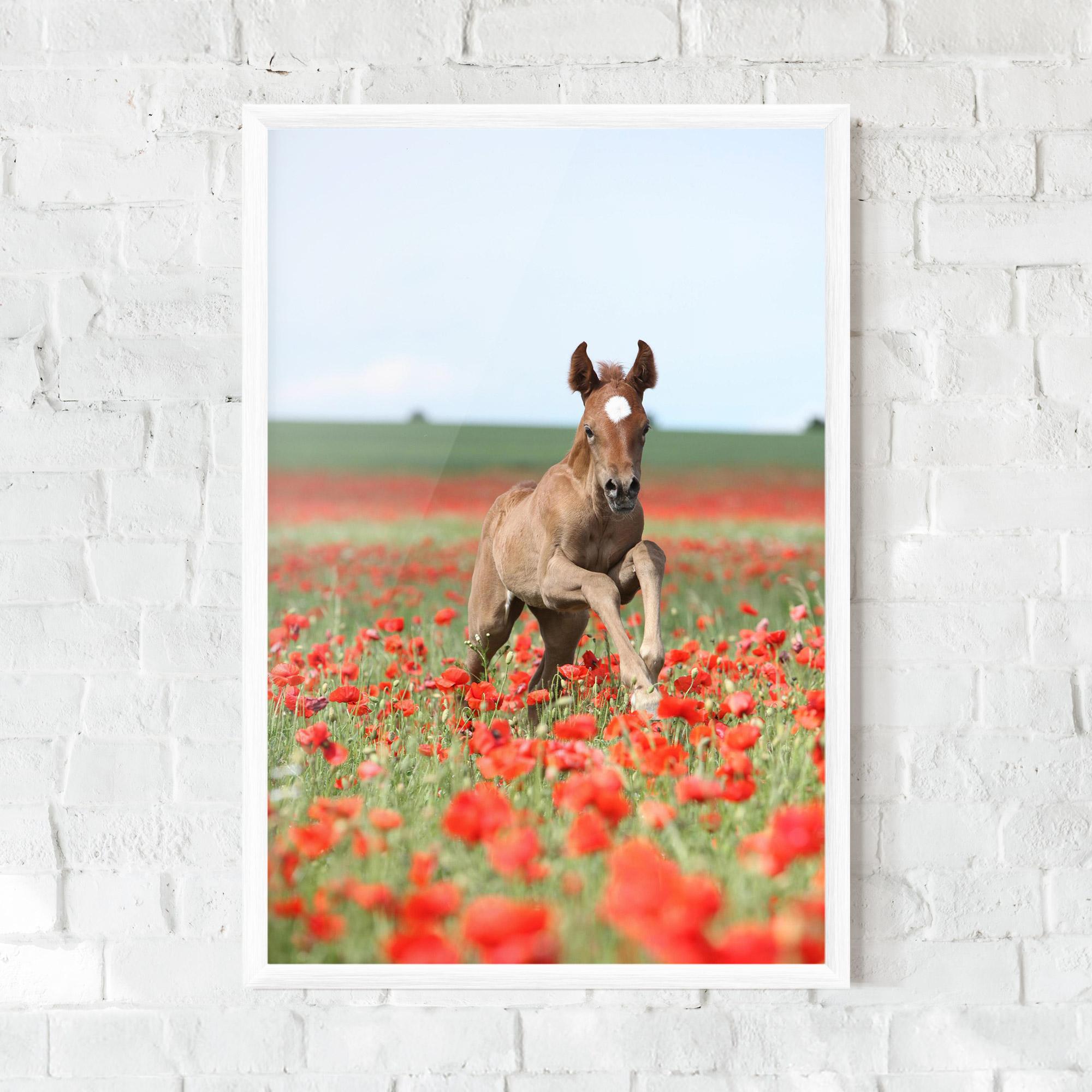 Keretezett Poszter Red Flowers Horse mockup 0
