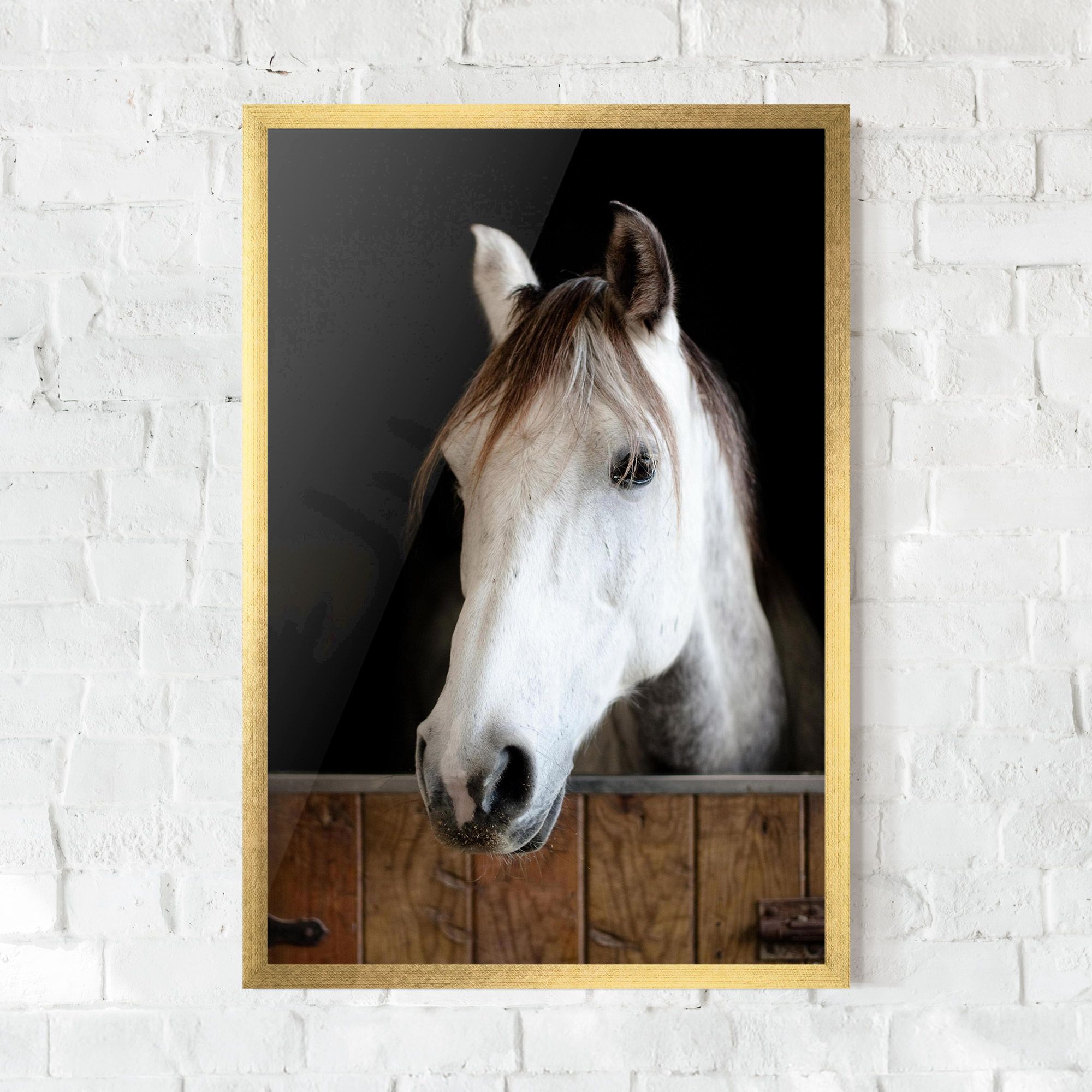 Grey Horse Head mockup 0