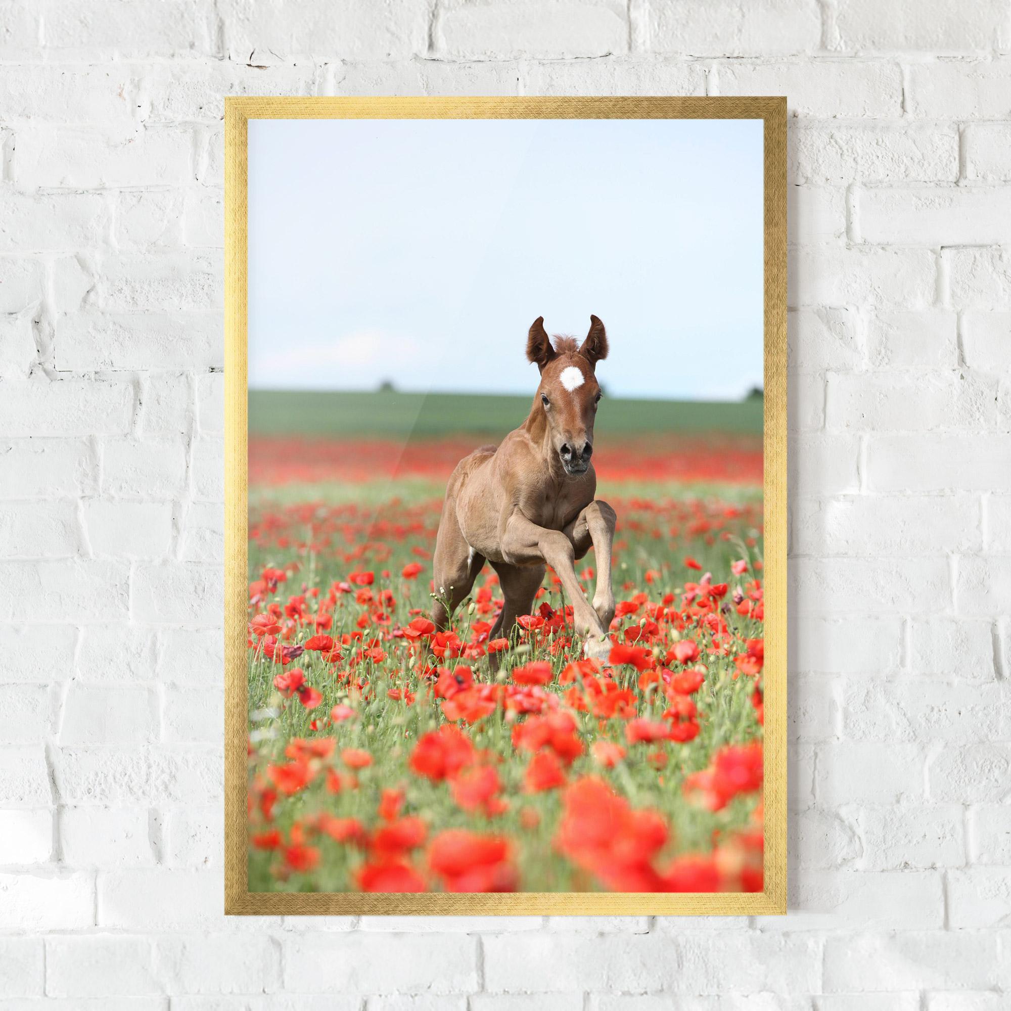 Keretezett Poszter Red Flowers Horse mockup 0