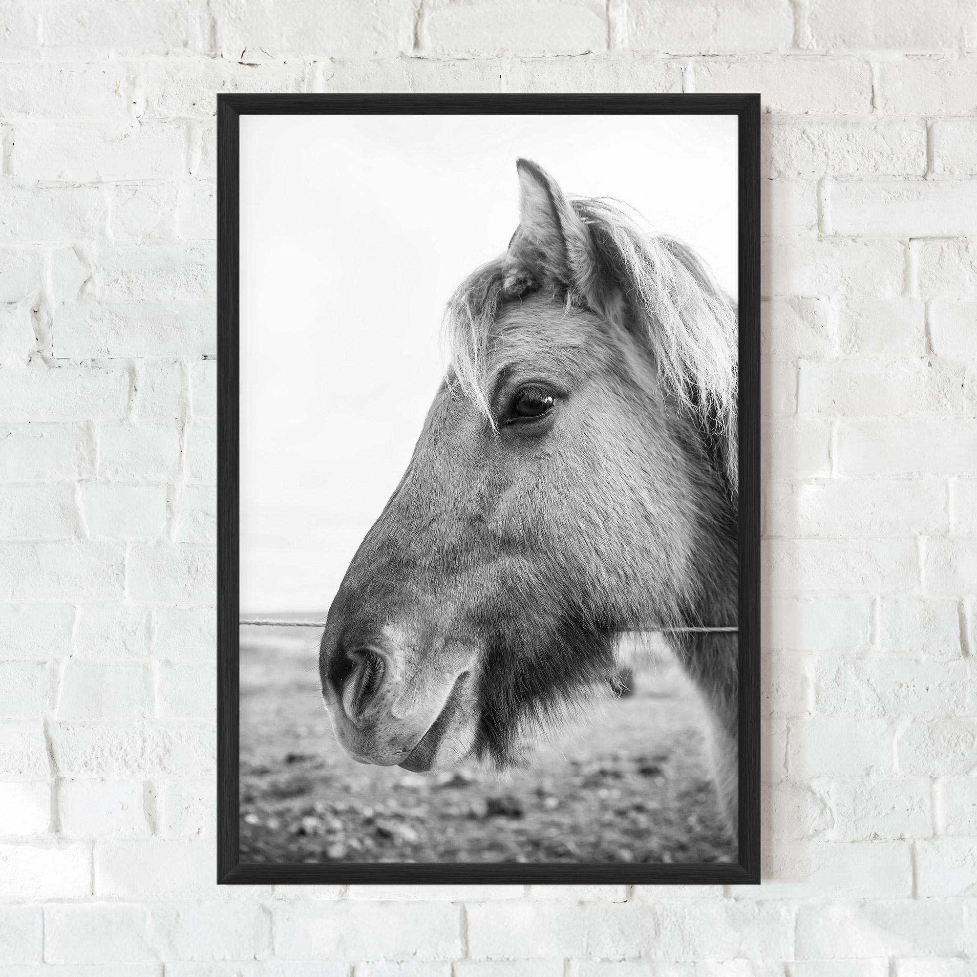 Keretezett Poszter Gray Horse Head mockup 0
