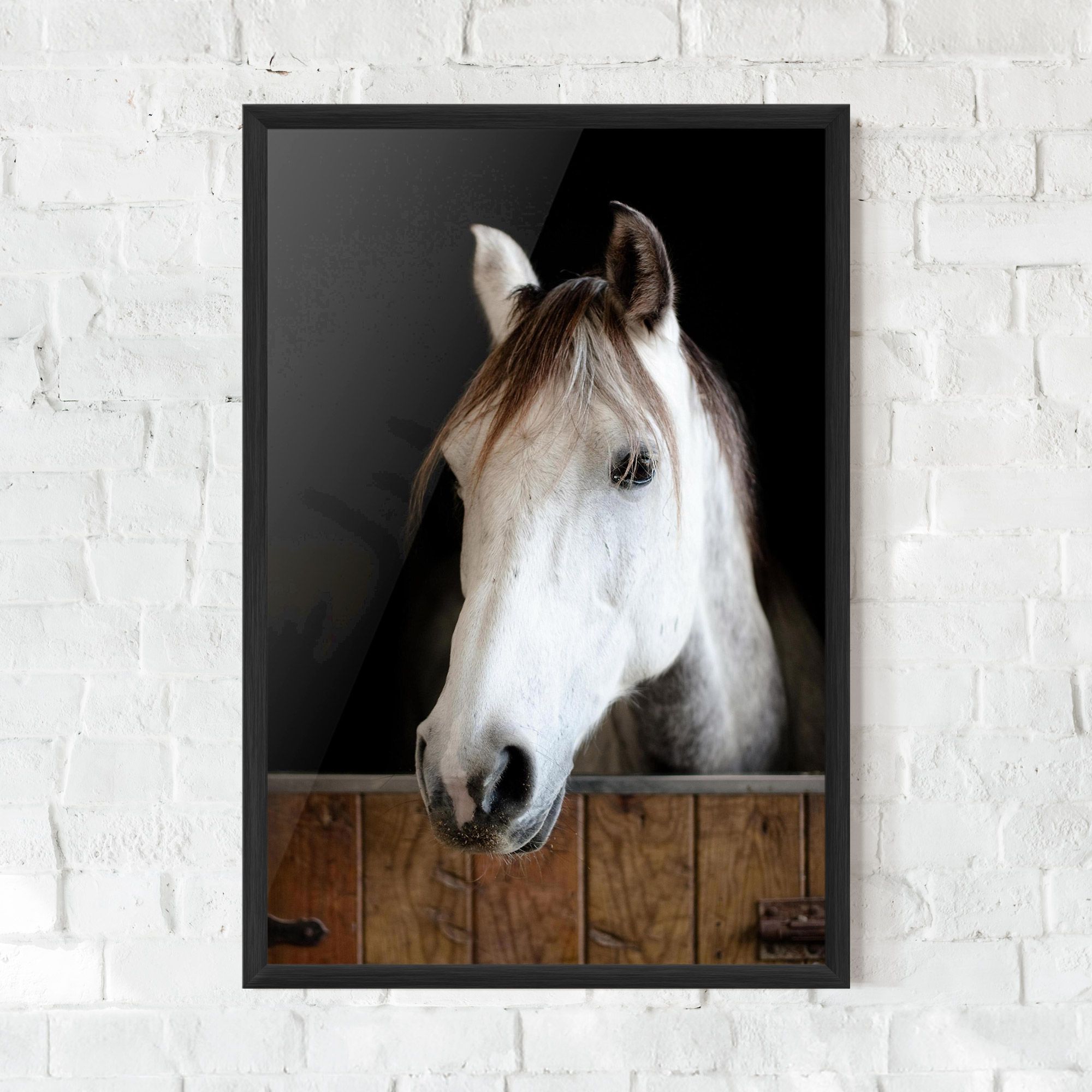 Grey Horse Head mockup 0