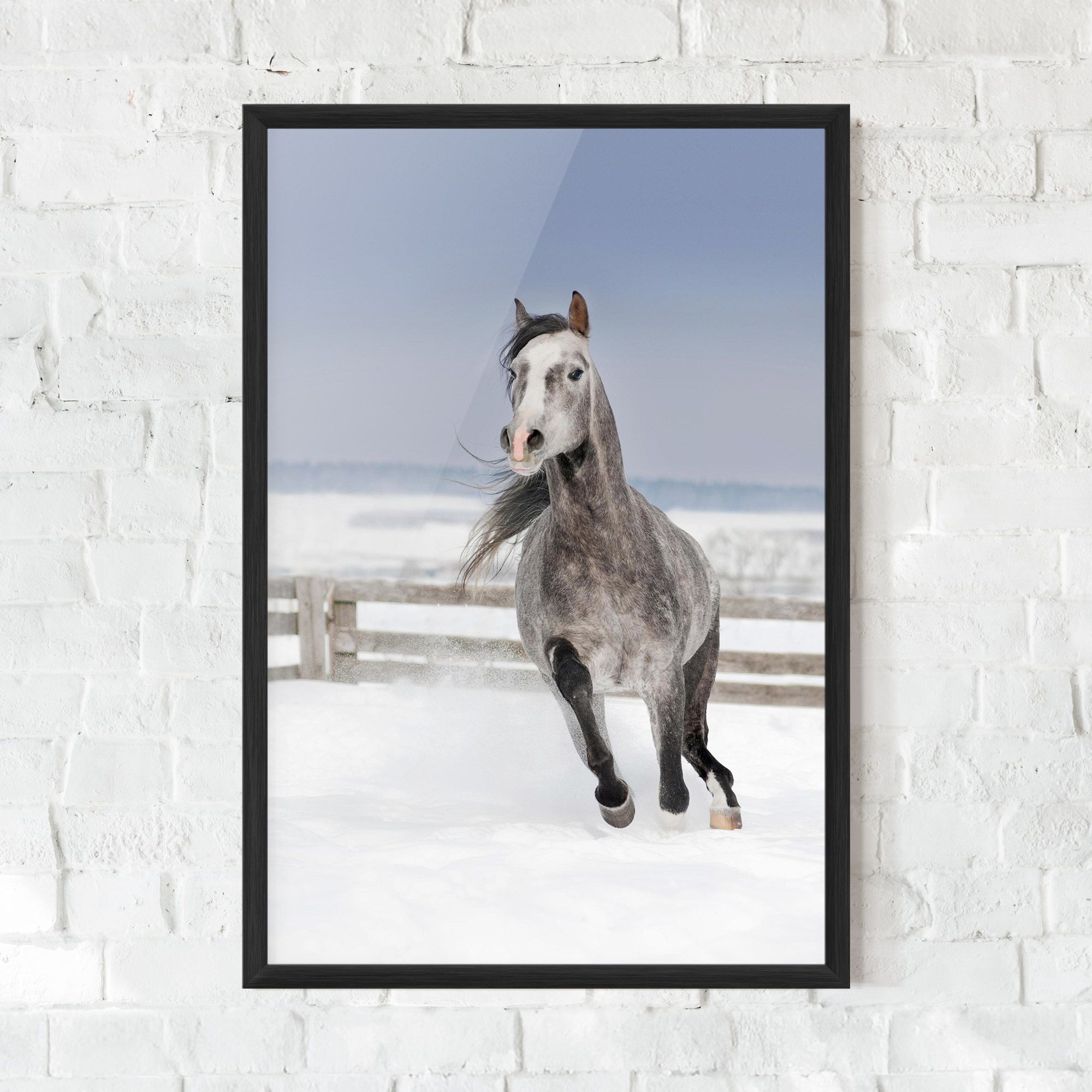 Horse Running Free mockup 0