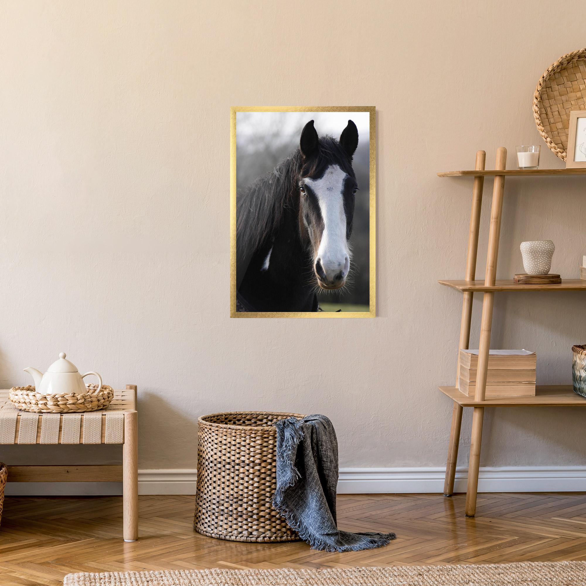 Keretezett Poszter Horse Black Portrait mockup 9