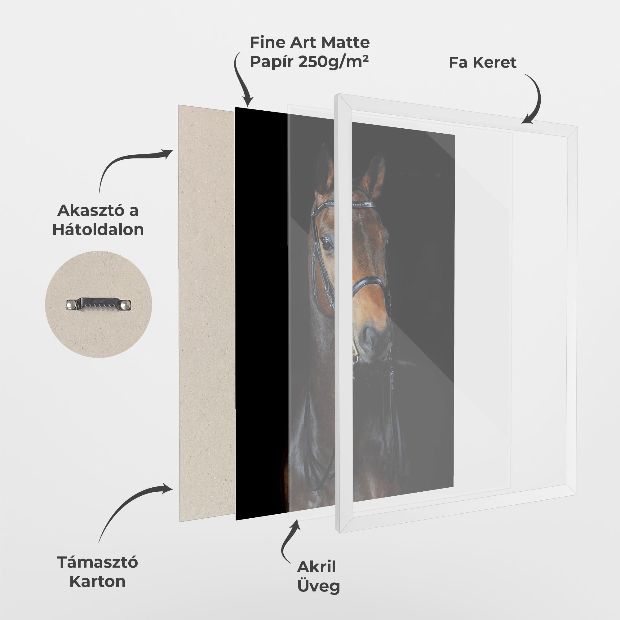 Keretezett Poszter Brown Horse On Black mockup 1