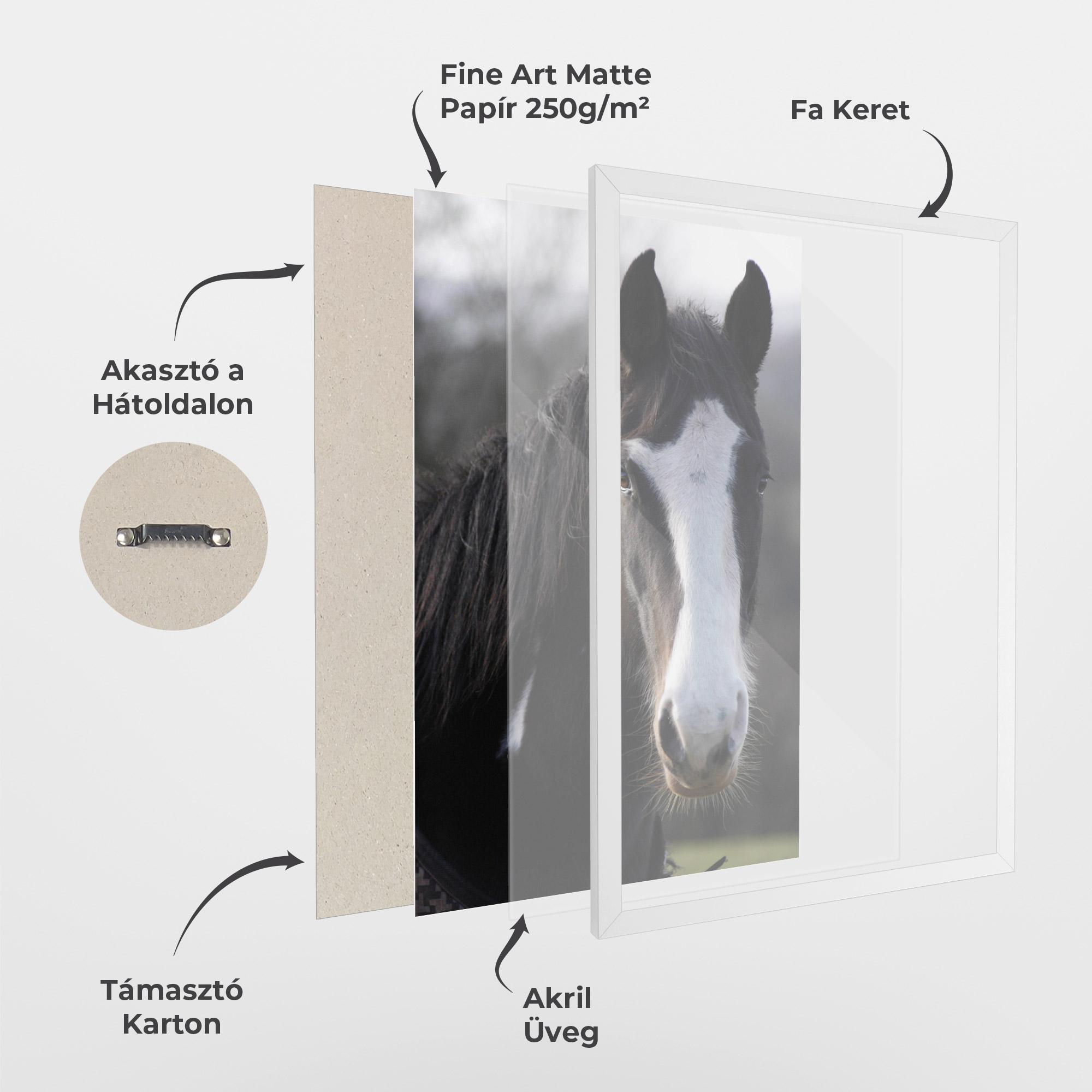 Keretezett Poszter Horse Black Portrait mockup 1