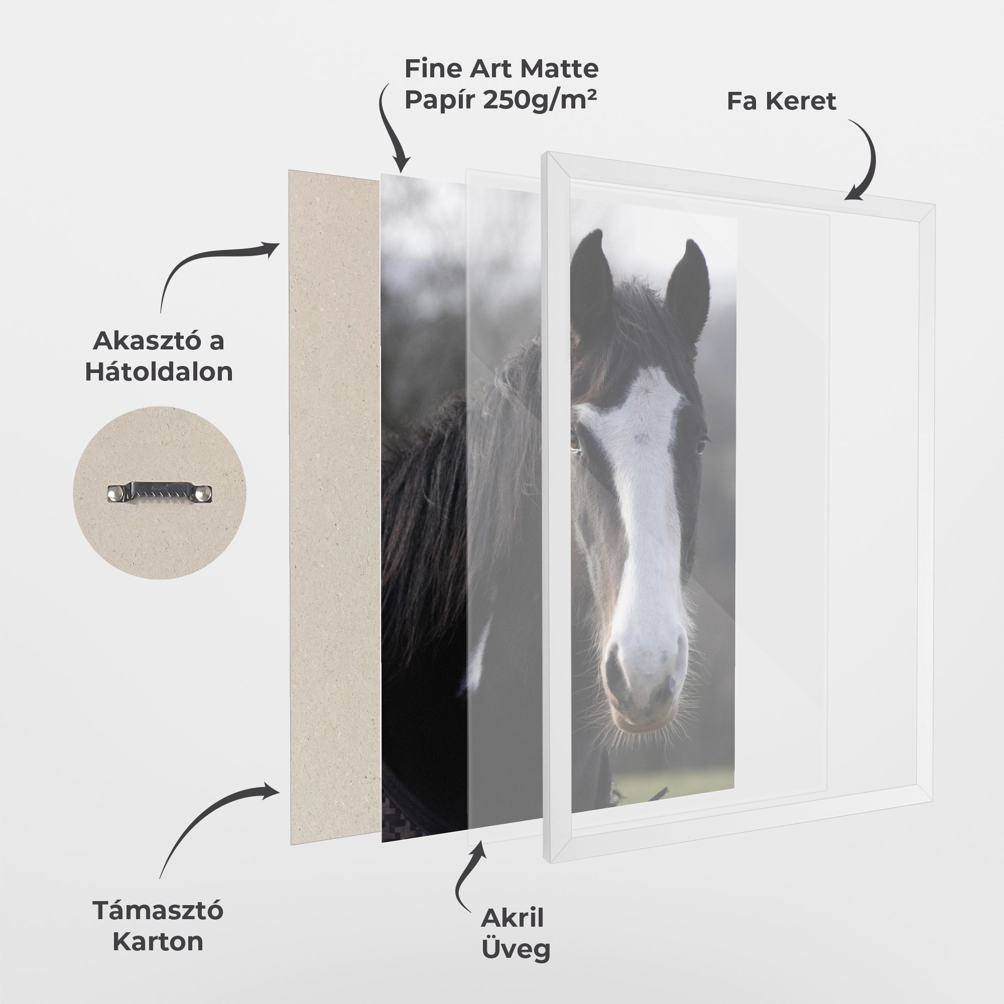 Horse Black Portrait mockup 1