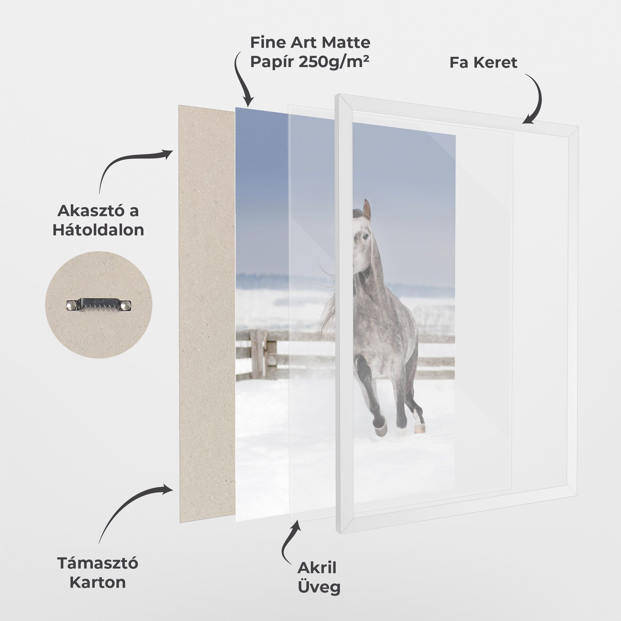 Horse Running Free mockup 1