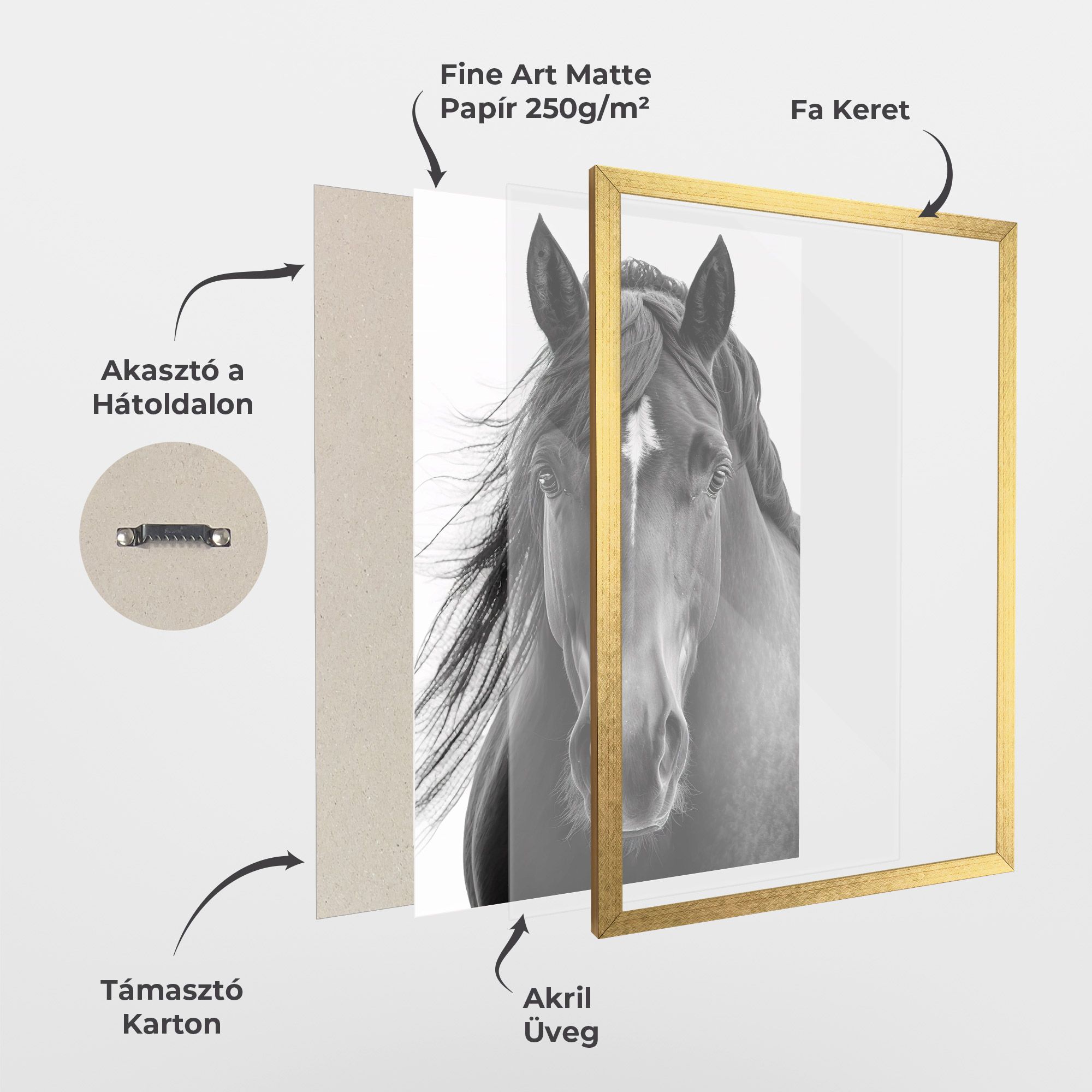 Close Up Horse mockup 1