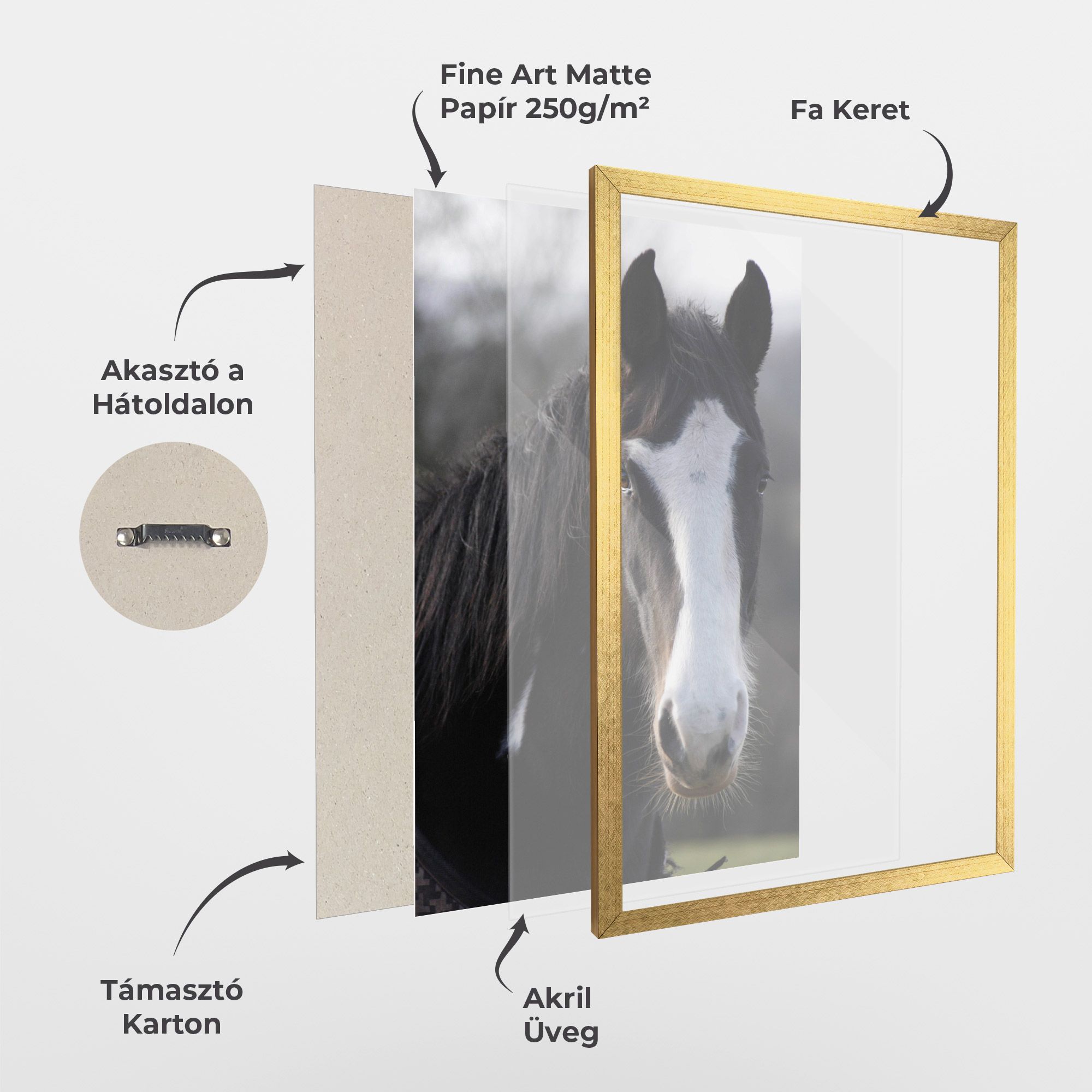 Horse Black Portrait mockup 1