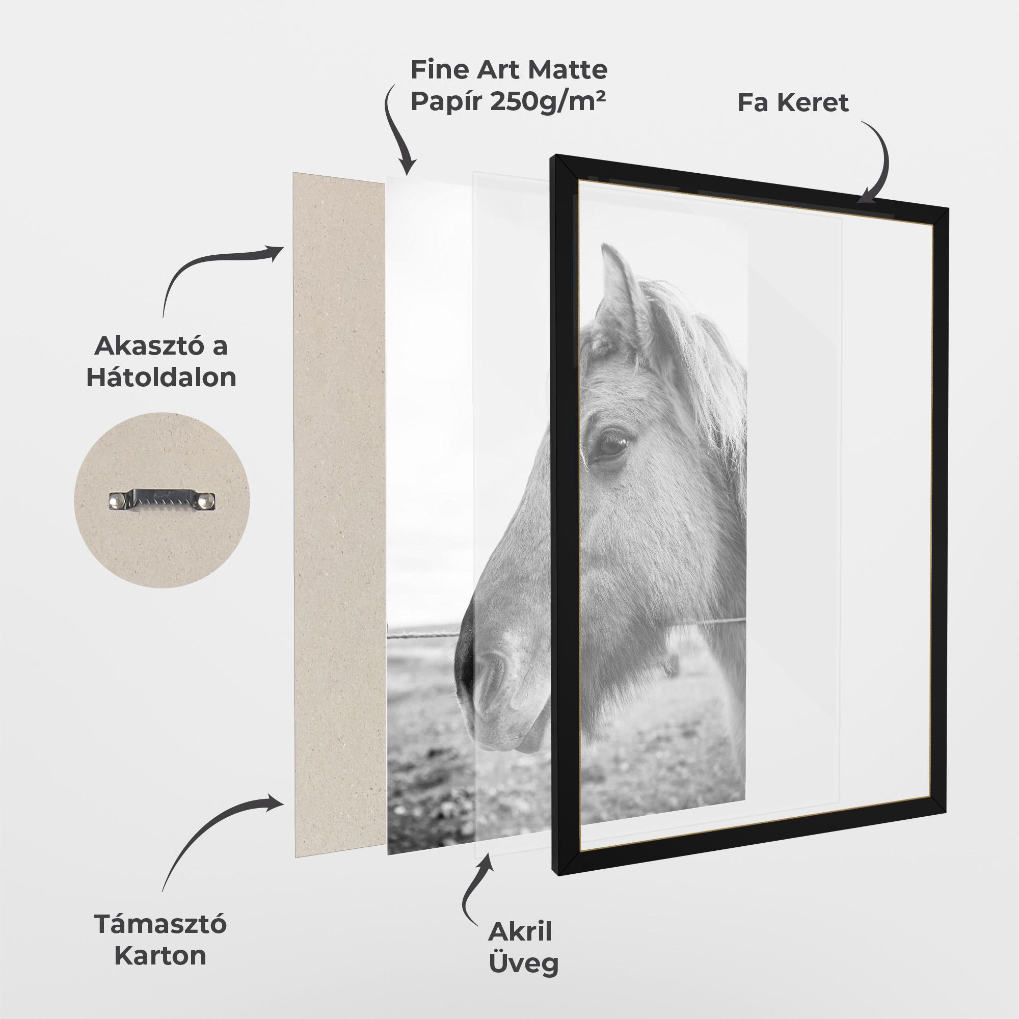 Keretezett Poszter Gray Horse Head mockup 1