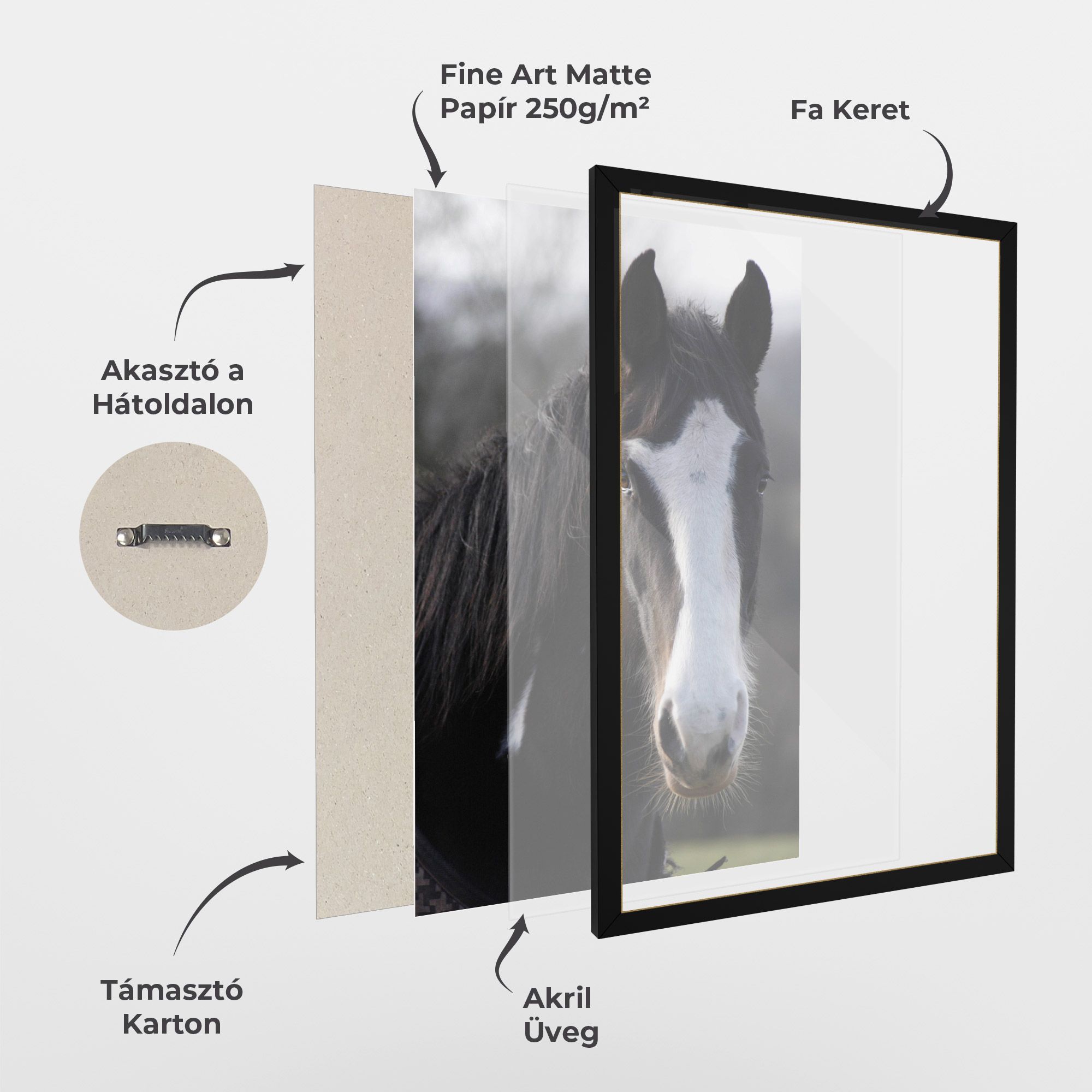 Horse Black Portrait mockup 1