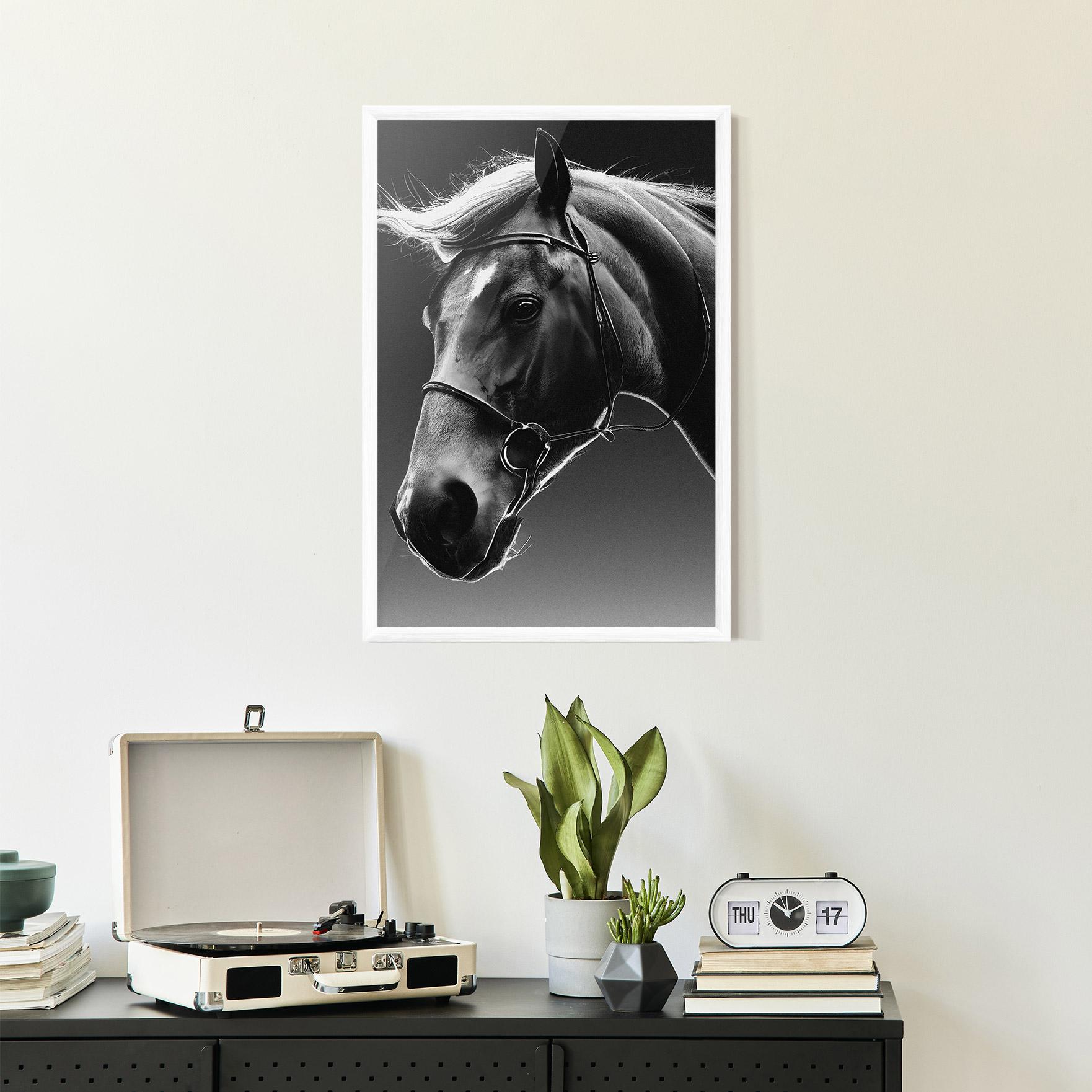 Keretezett Poszter Black Horse Profile mockup 2