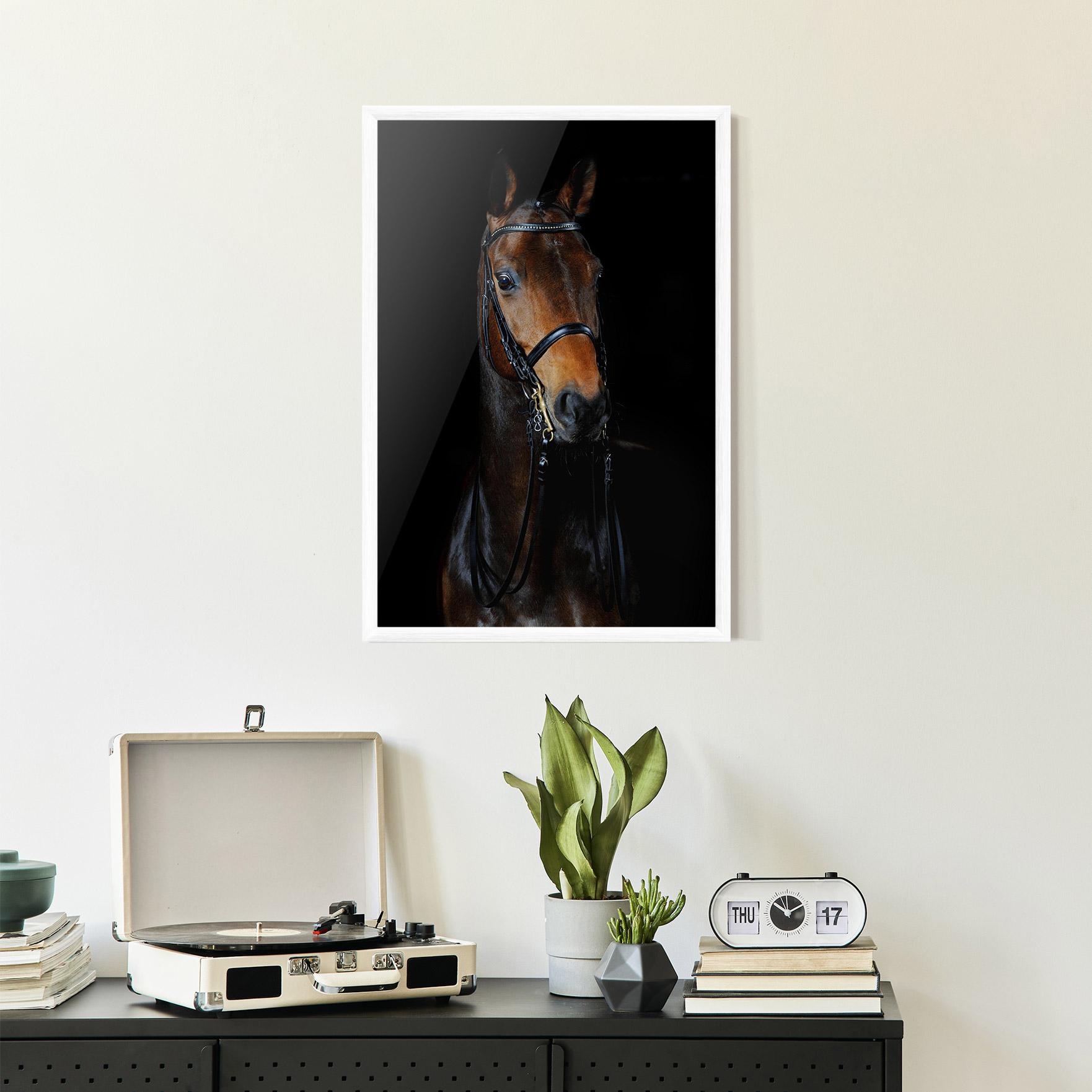 Keretezett Poszter Brown Horse On Black mockup 2