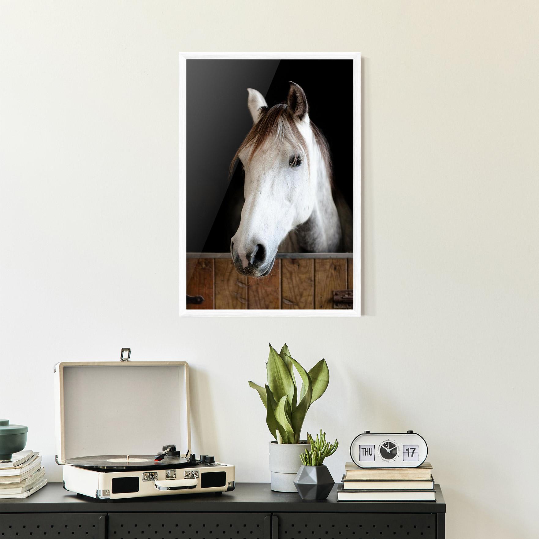 Keretezett Poszter Grey Horse Head mockup 2