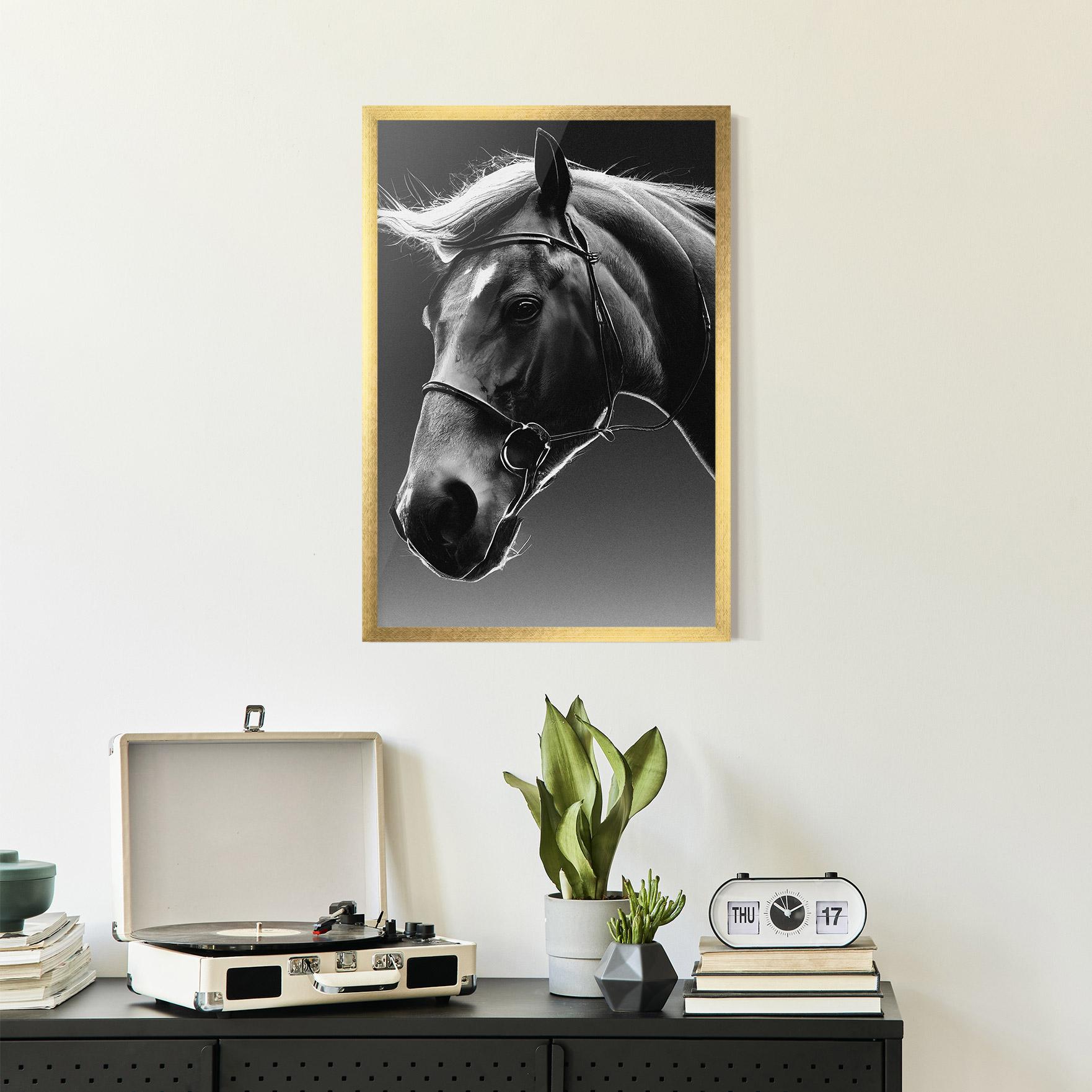 Keretezett Poszter Black Horse Profile mockup 2