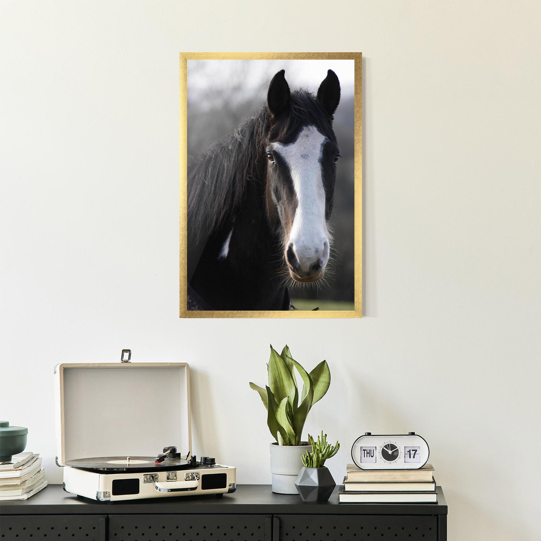 Keretezett Poszter Horse Black Portrait mockup 2