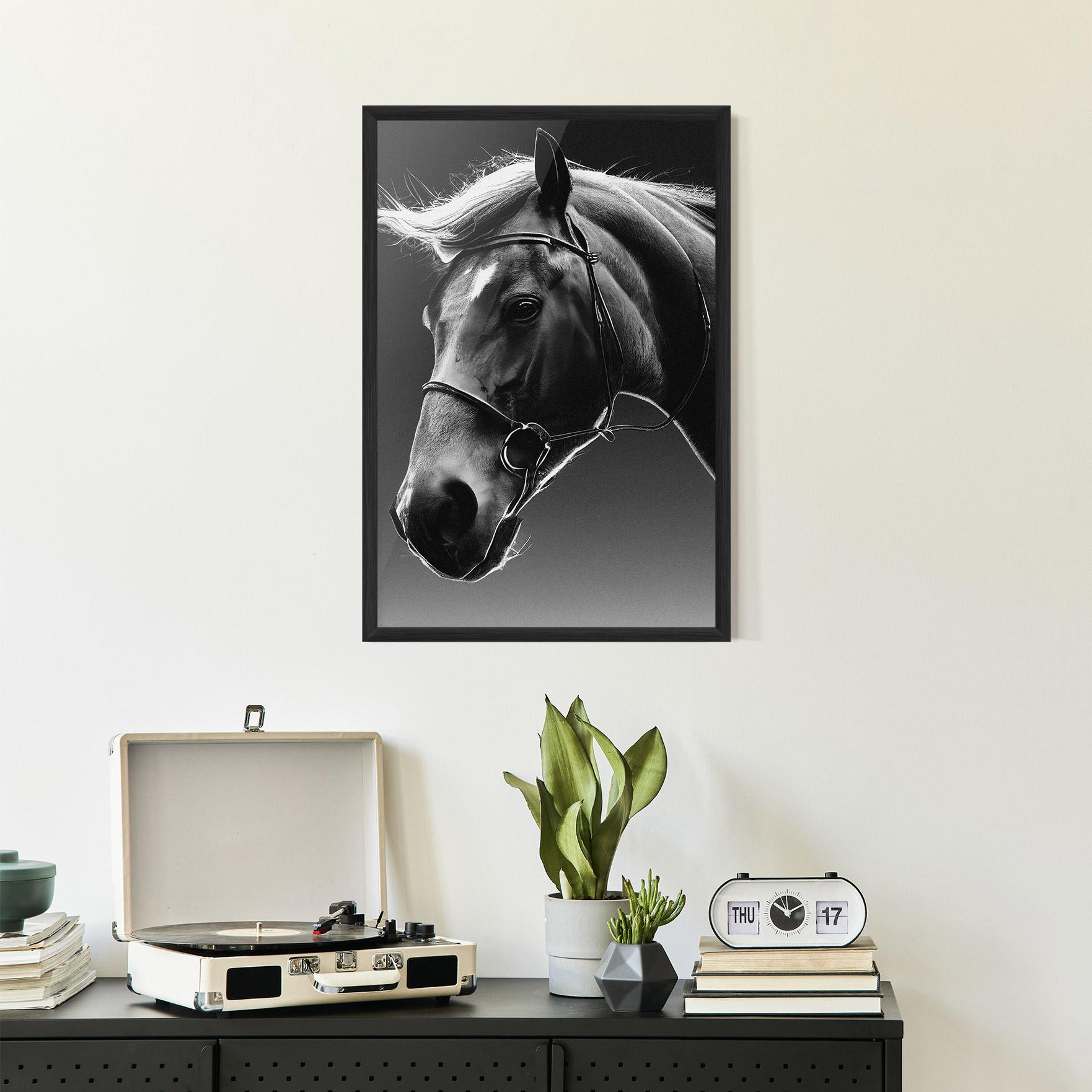 Keretezett Poszter Black Horse Profile mockup 2