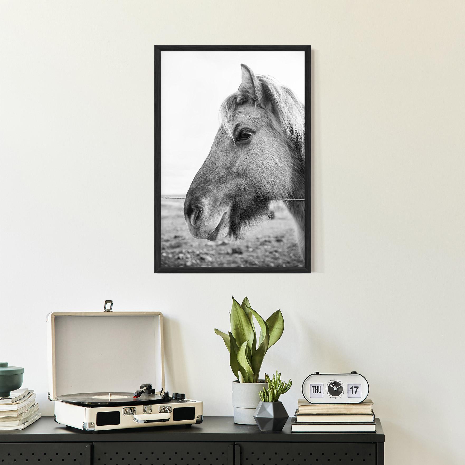 Keretezett Poszter Gray Horse Head mockup 2