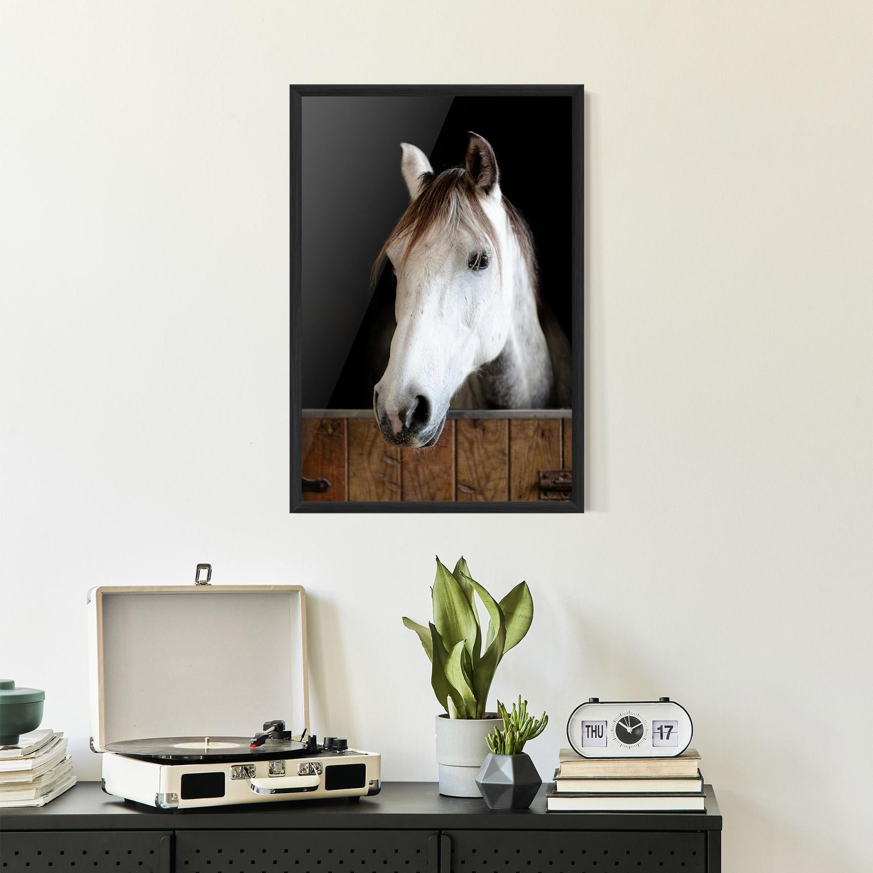 Keretezett Poszter Grey Horse Head mockup 2