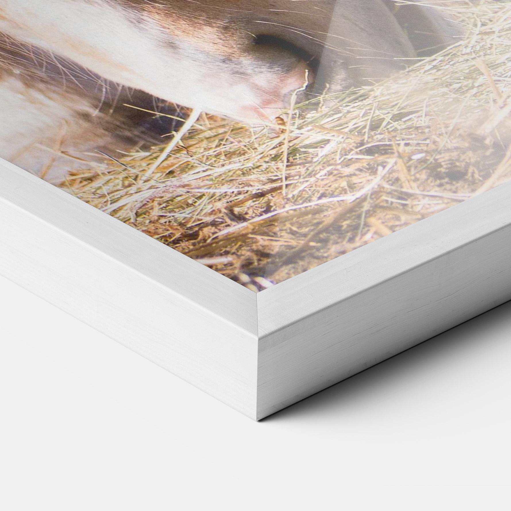 Keretezett Poszter Cream Horse Eating mockup 3